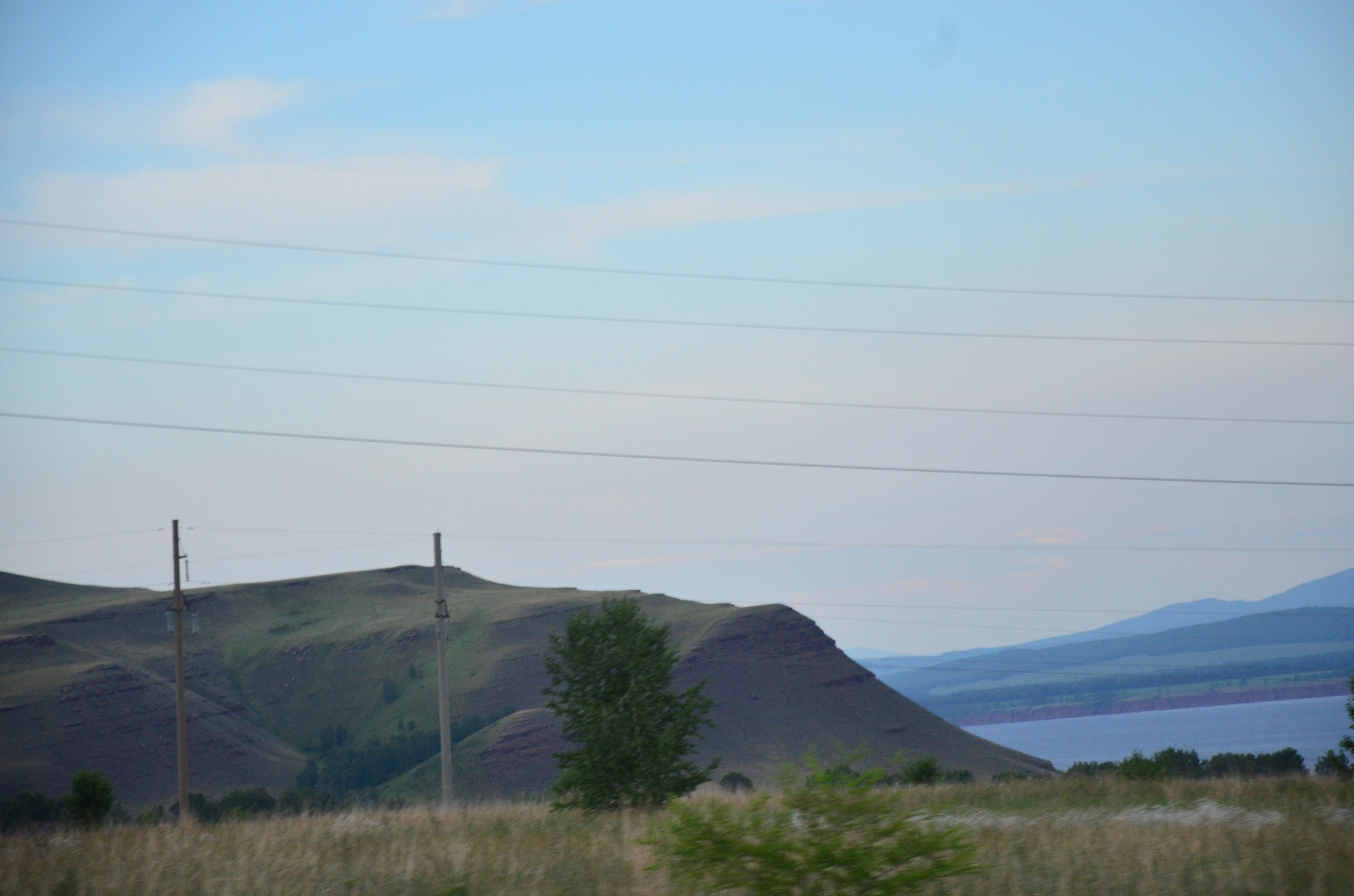 Дары природы. Фотограф viktor viktor