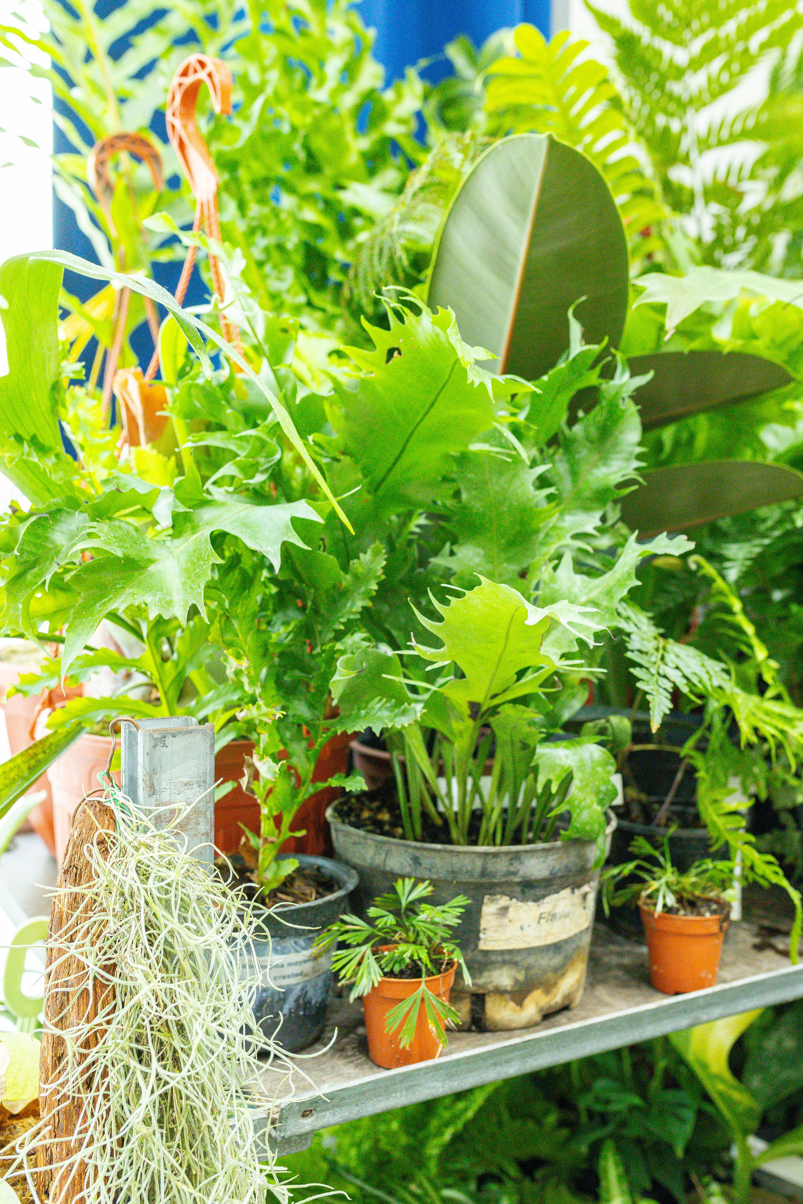 Монстериум 11–12 октября. Александра Куликова фотограф, Москва