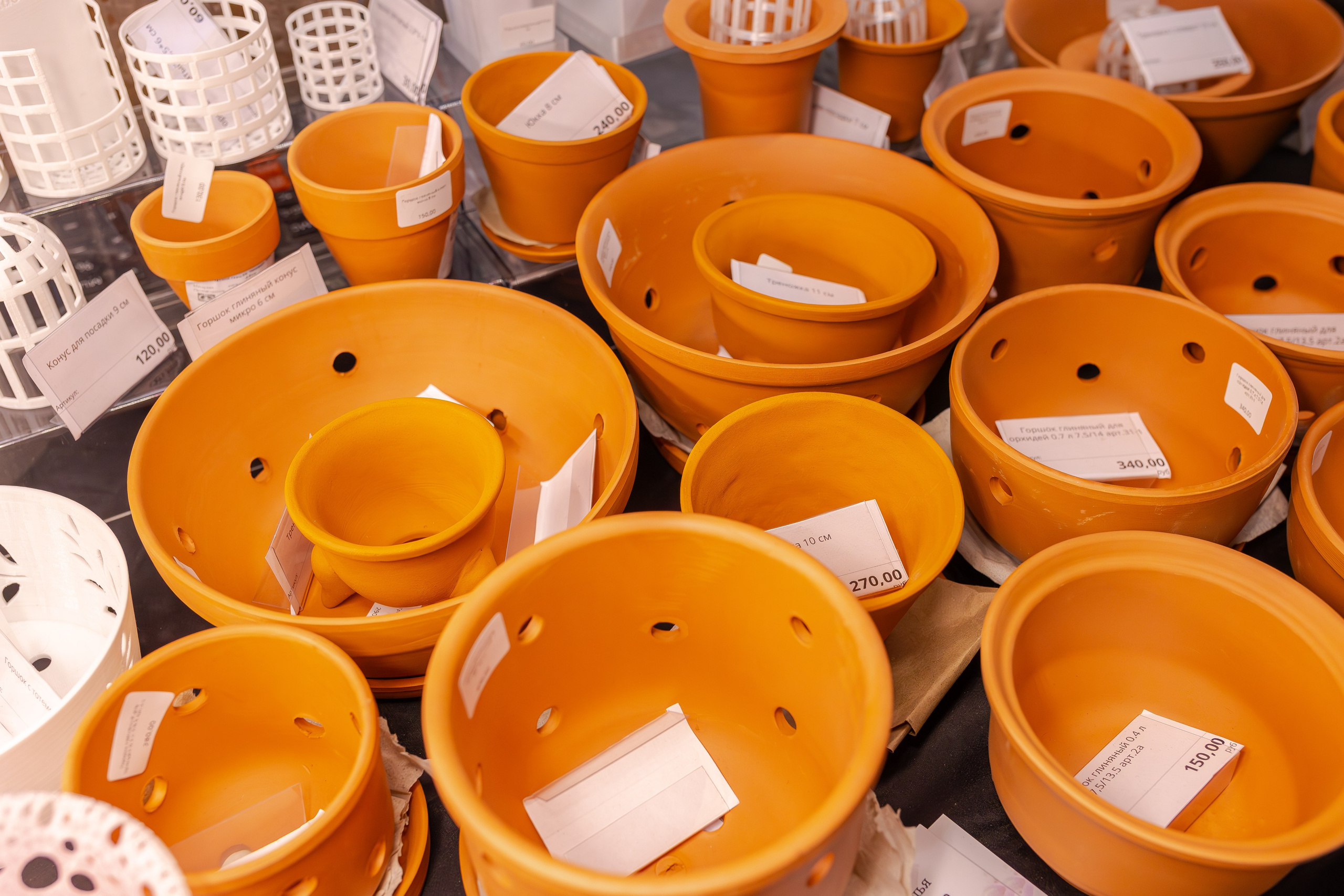 Монстериум апрель 2026. Александра Куликова фотограф, Москва