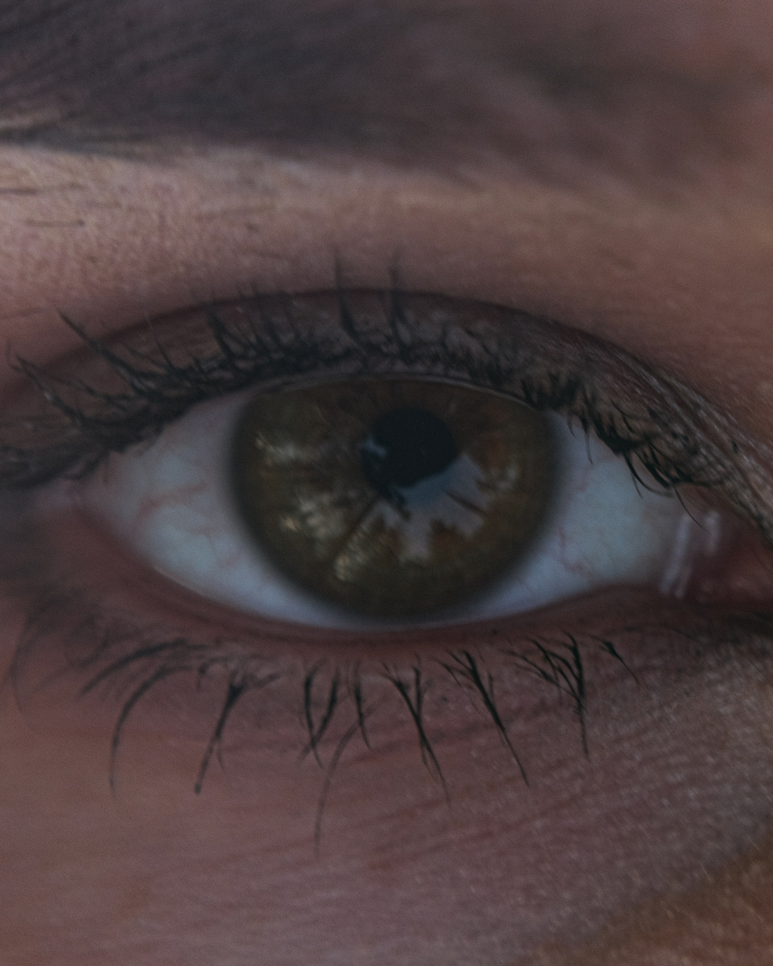 Насто. Главная