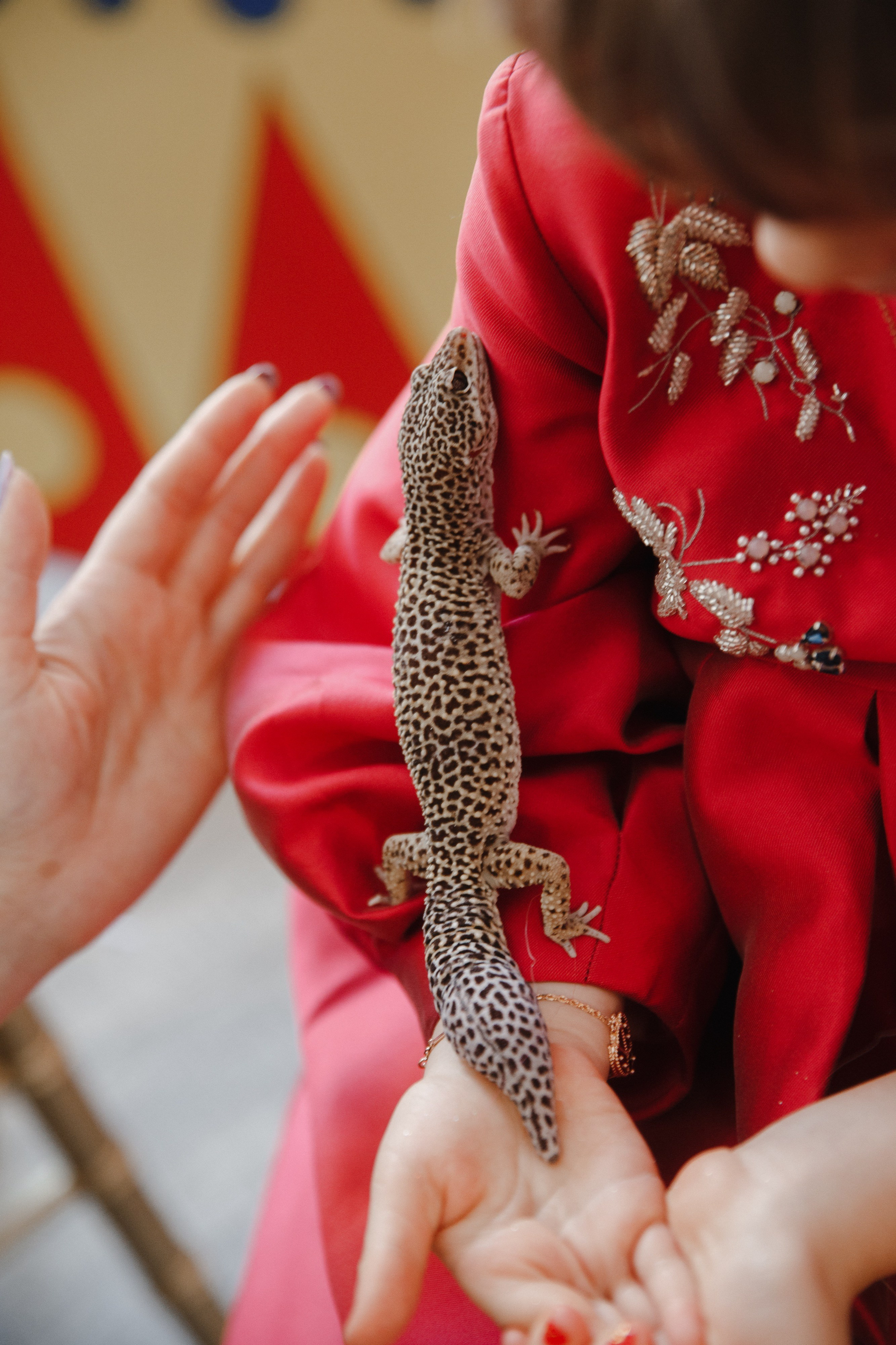 Маруся 5 лет. Фотограф Роман Полянин