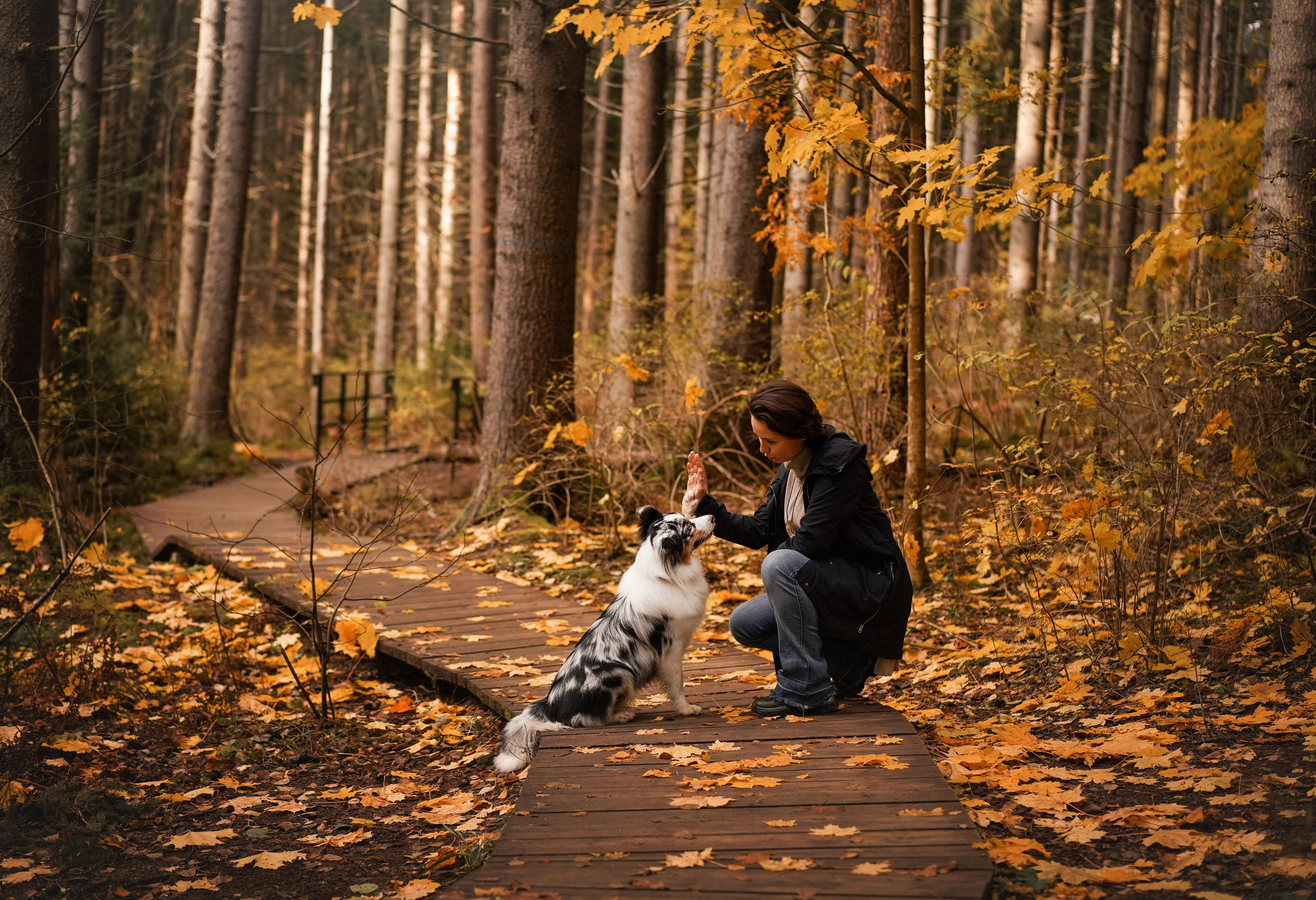 Соня Гавриил и Юкки. Фотограф-анималист в Санкт-Петербурге Яна Мартынова