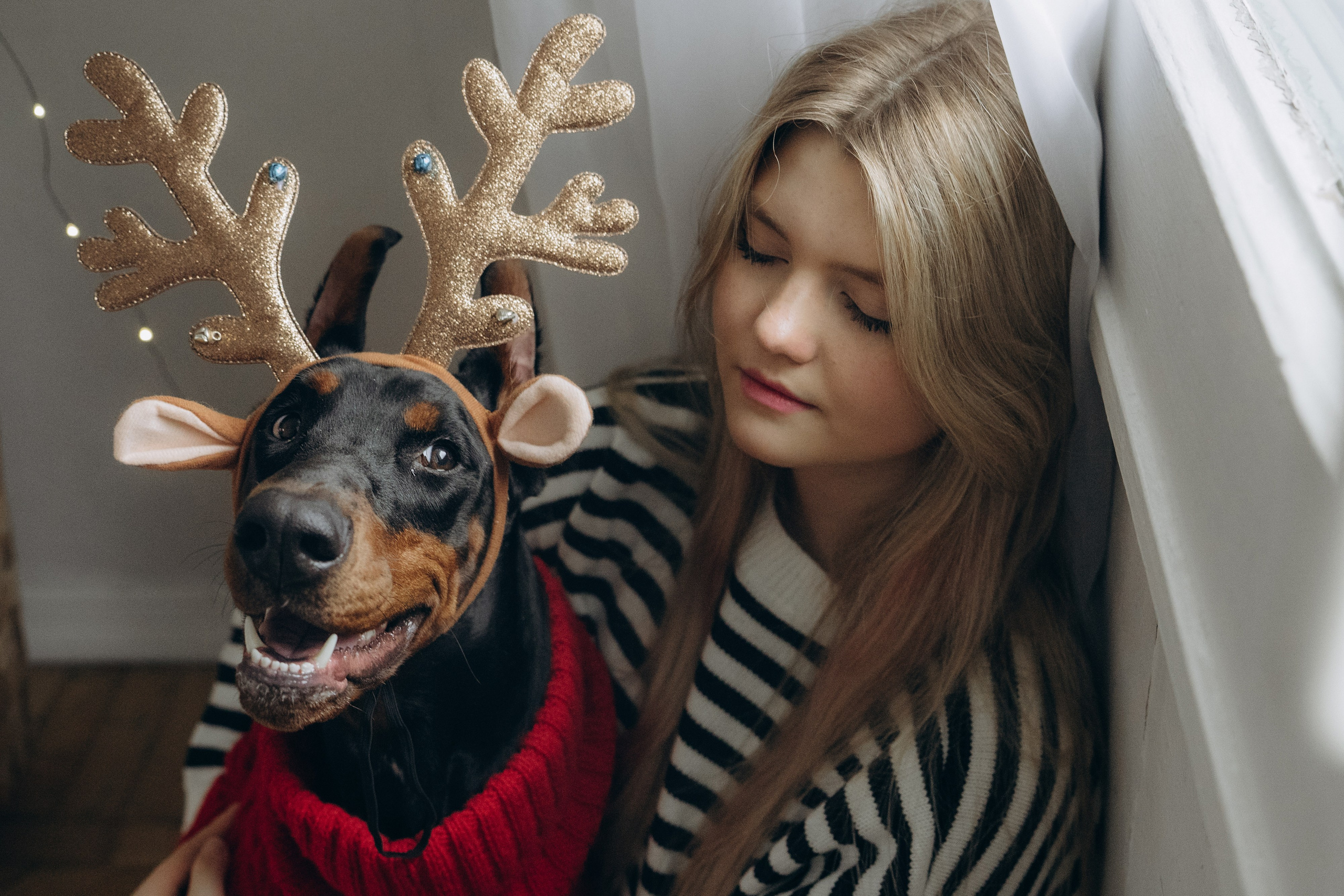 Саша и Асти. Фотограф анималист в Москве и Санкт-Петербурге Свиридова Анна