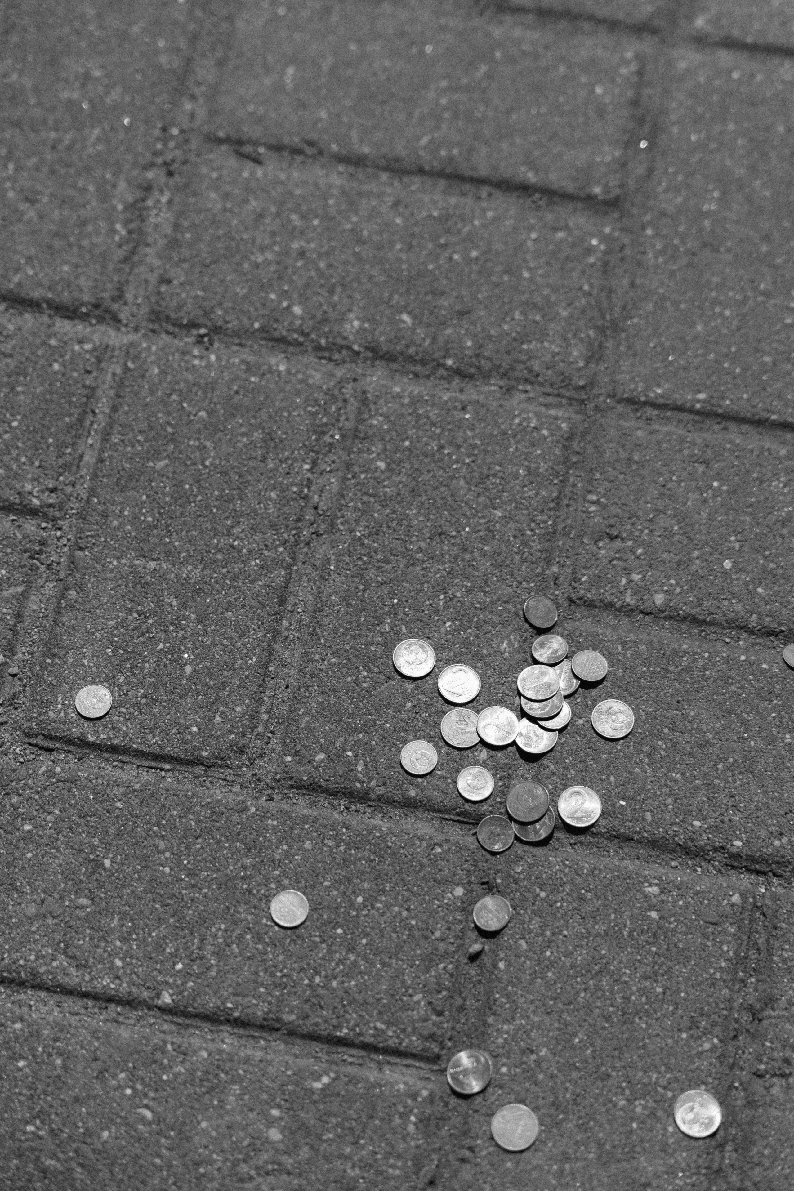 Екатерина & Алексей. Свадебный и портретный фотограф Соломко Диана