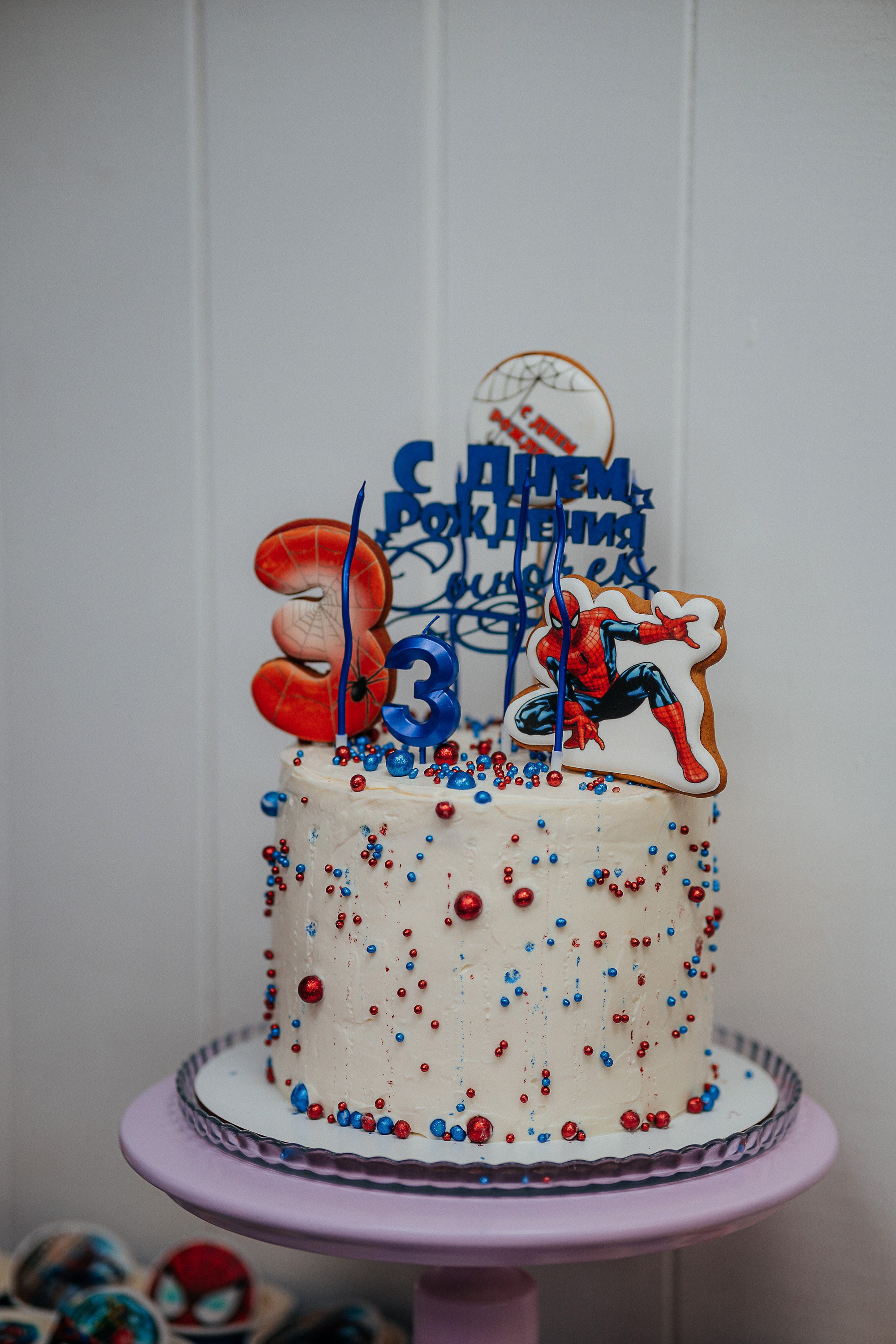 День рождения Теодора. Репортажный (Event) фотограф в Барнауле | Даниил Маркин | Качество и вайб