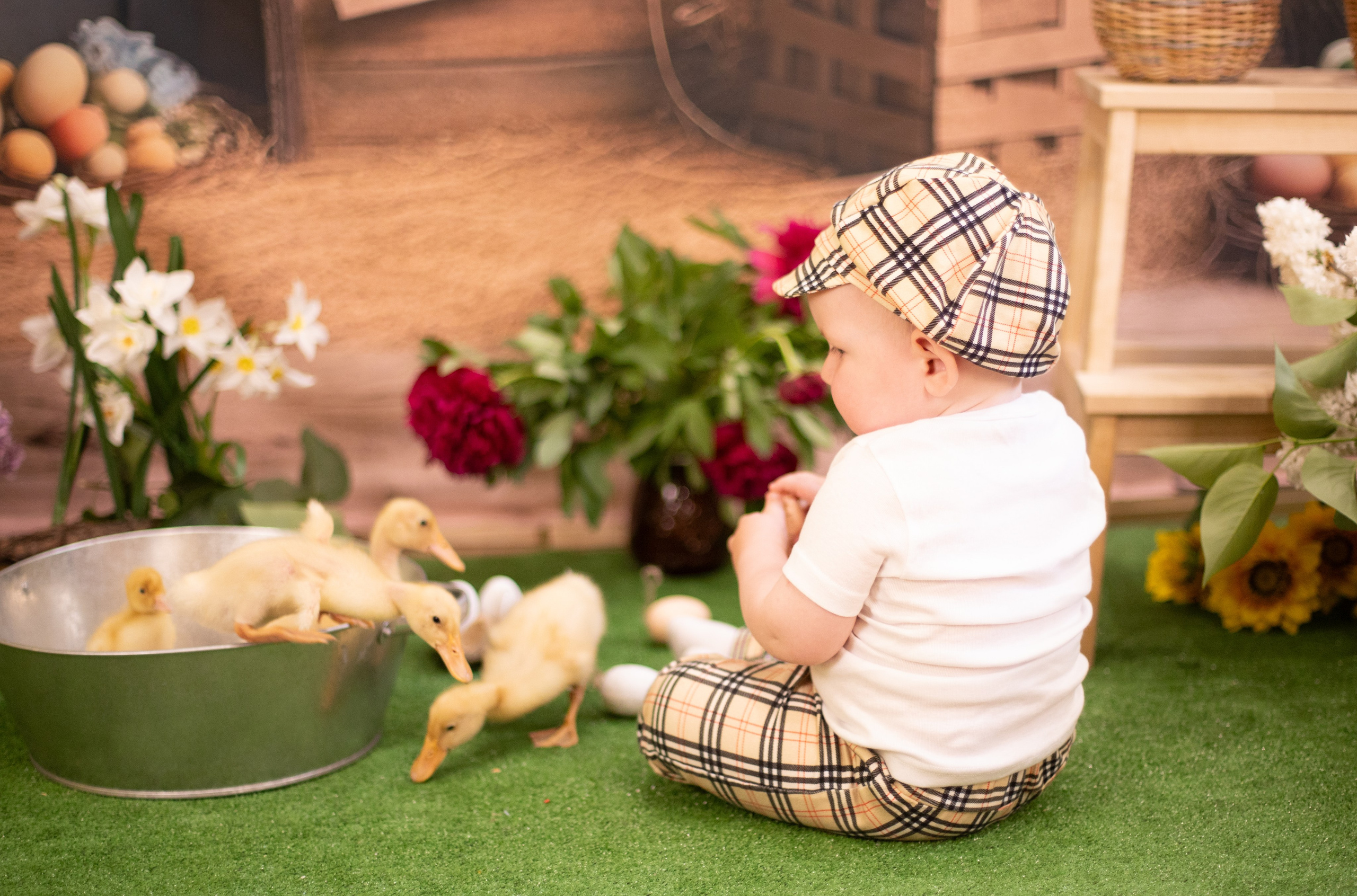 Пасха Утята. Лучший фотограф Краснодара (по версии моей мамы)