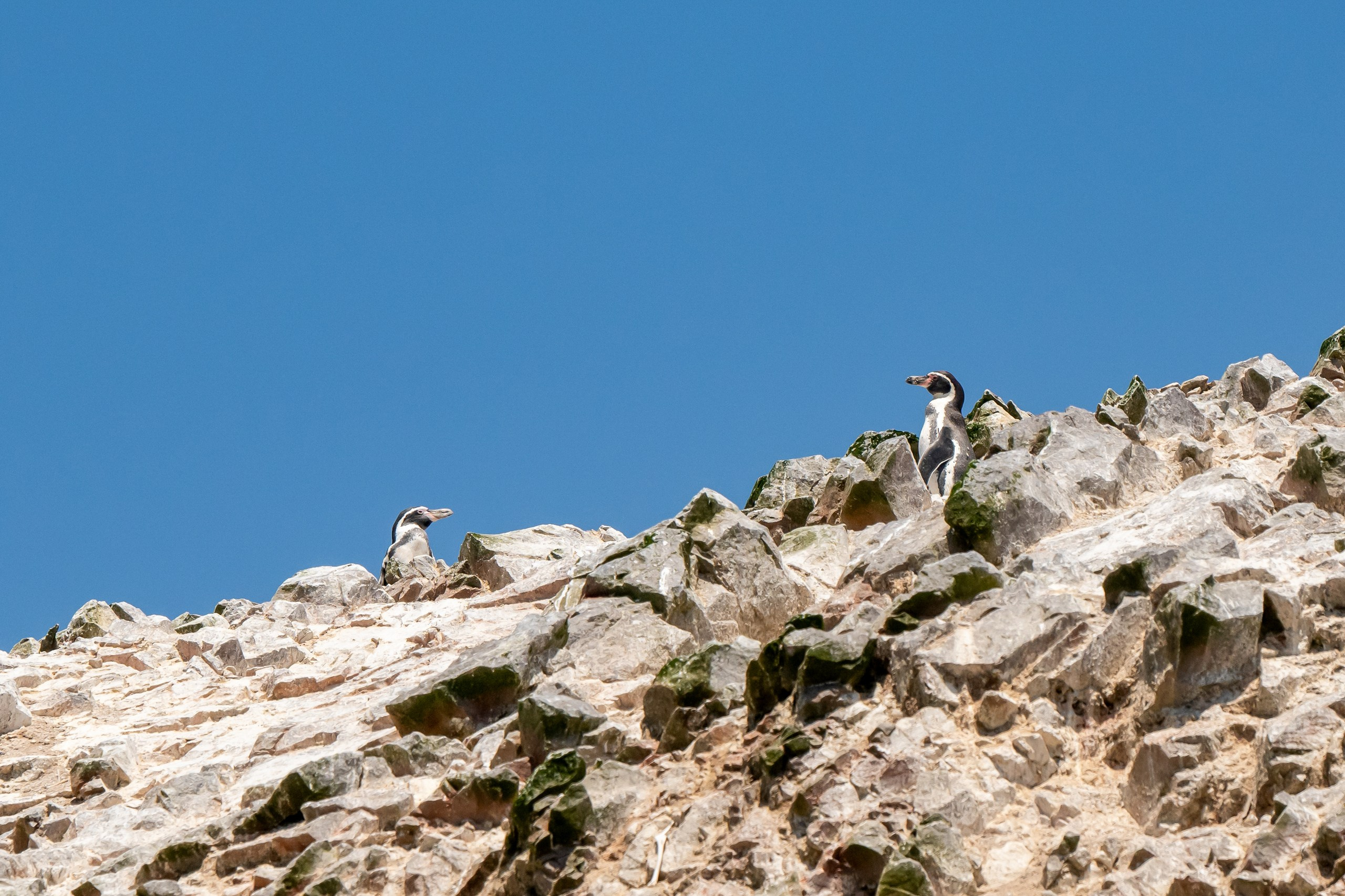 Перу. Foto-Zuev фотография как искусство