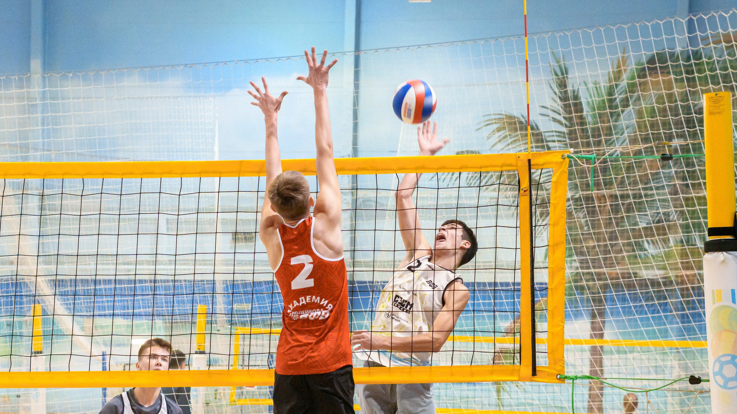 Фоторепортаж. Фотосъемка и видеосъемка в Архангельске