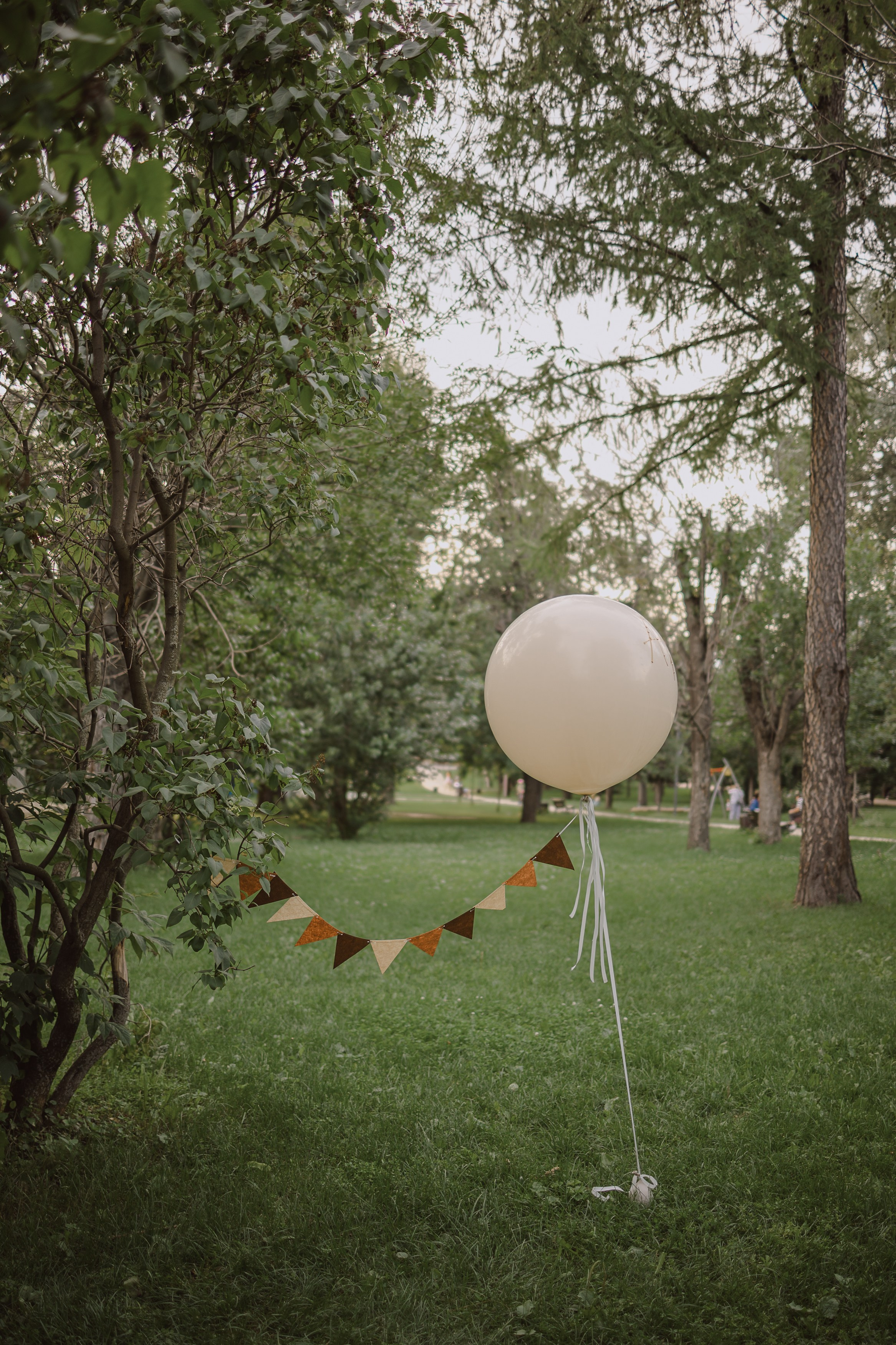 Для Амалии. Семейный и детский фотограф, женский портрет Москва Светлана Мертикова
