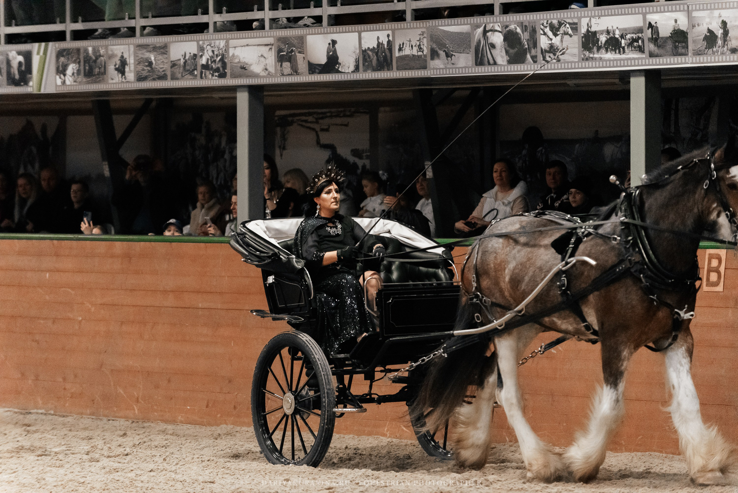 Конное представление «Дыхание Звёзд». Конный фотограф Куракина Дарья • Фотосессии с лошадьми