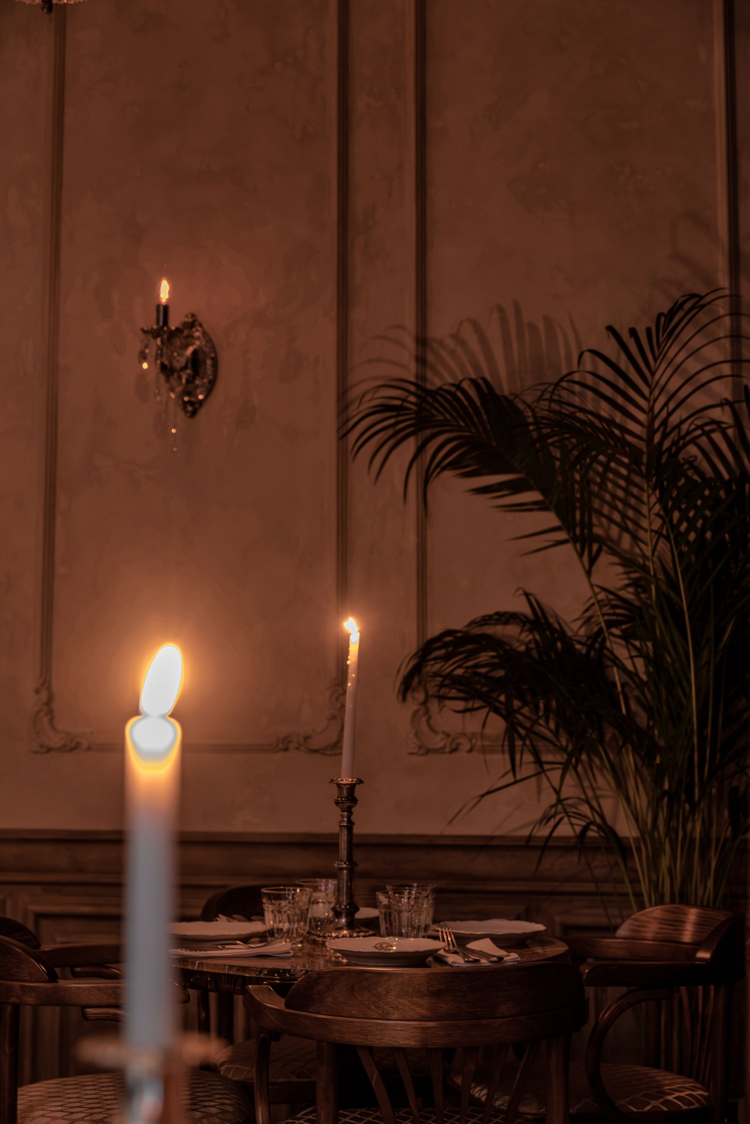 Медведь. Репортажный фотограф в Санкт-Петербурге Жолудев Владислав