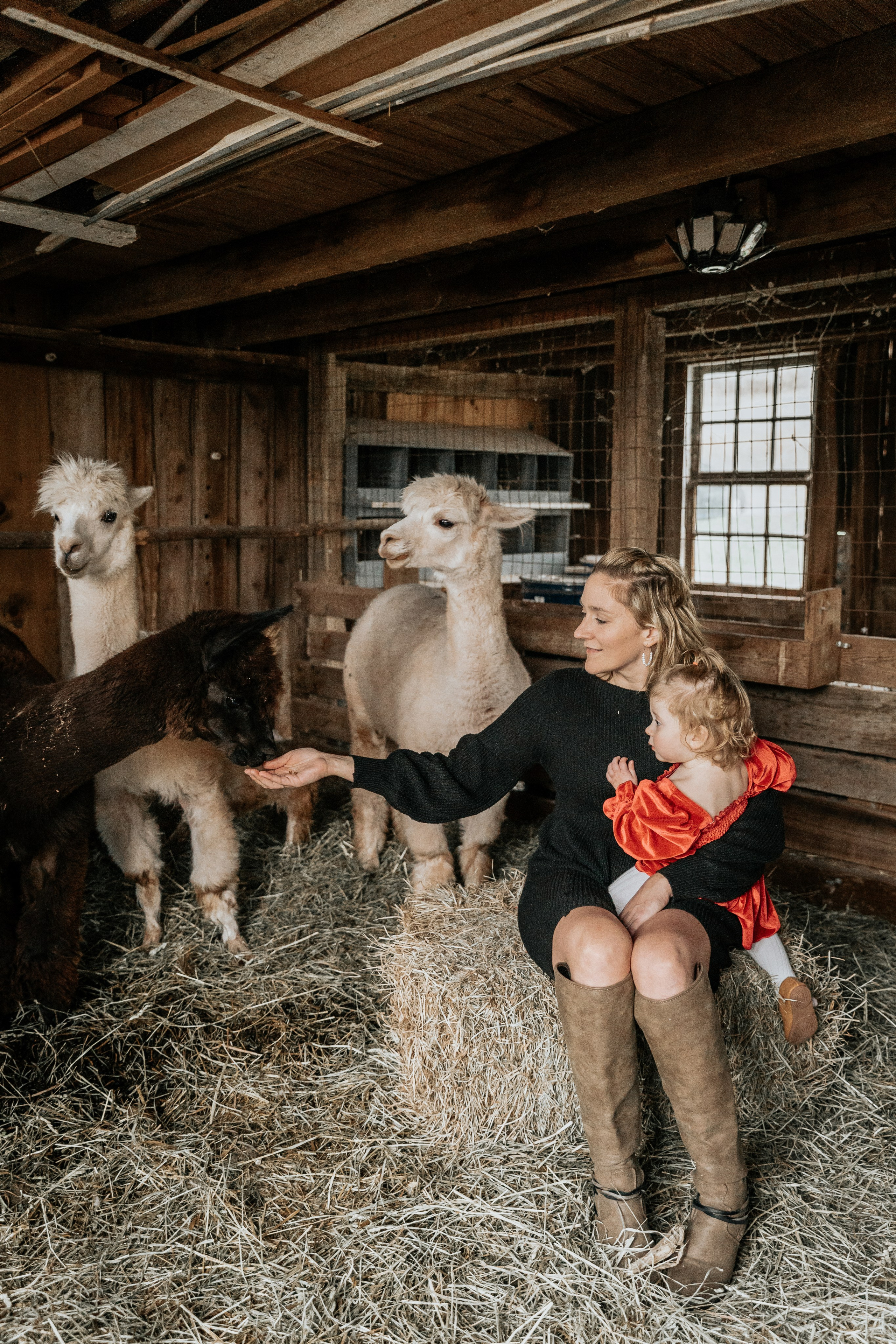 Family. Family photographer in Eastern Pennsylvania, Inna Nairn