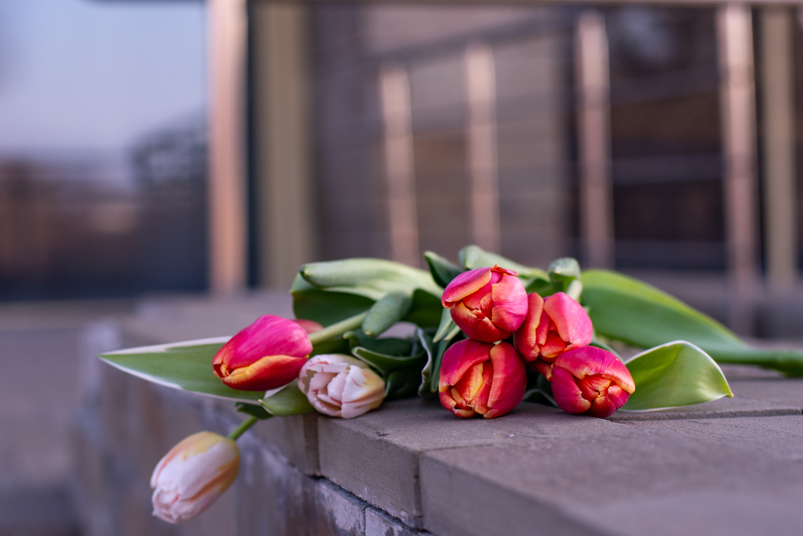 Ольга. Семейный и свадебный фотограф в Абакане Юлия Су