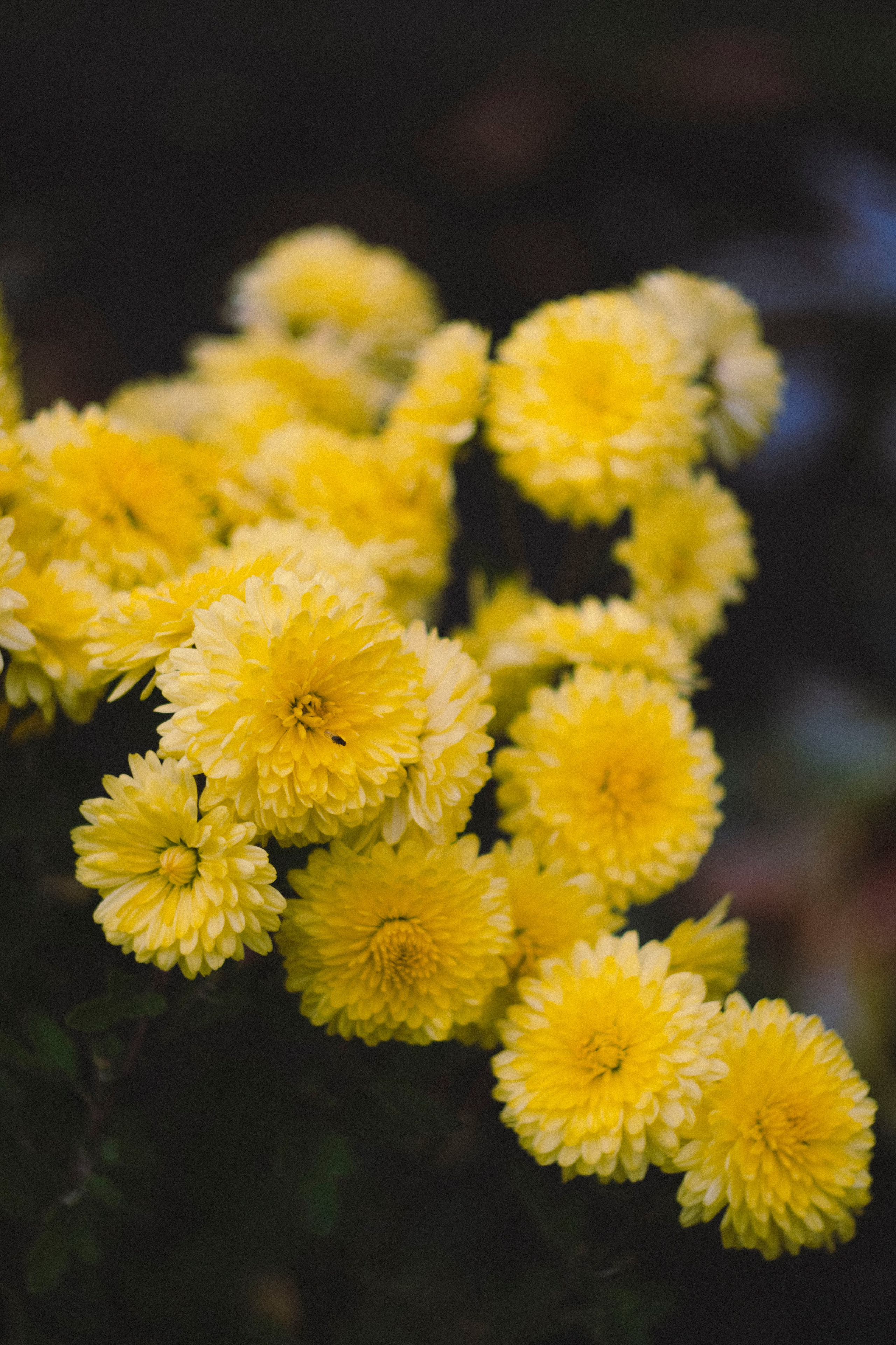 Nikol. Фотограф Димитровград Казань Валерия Владимиркина