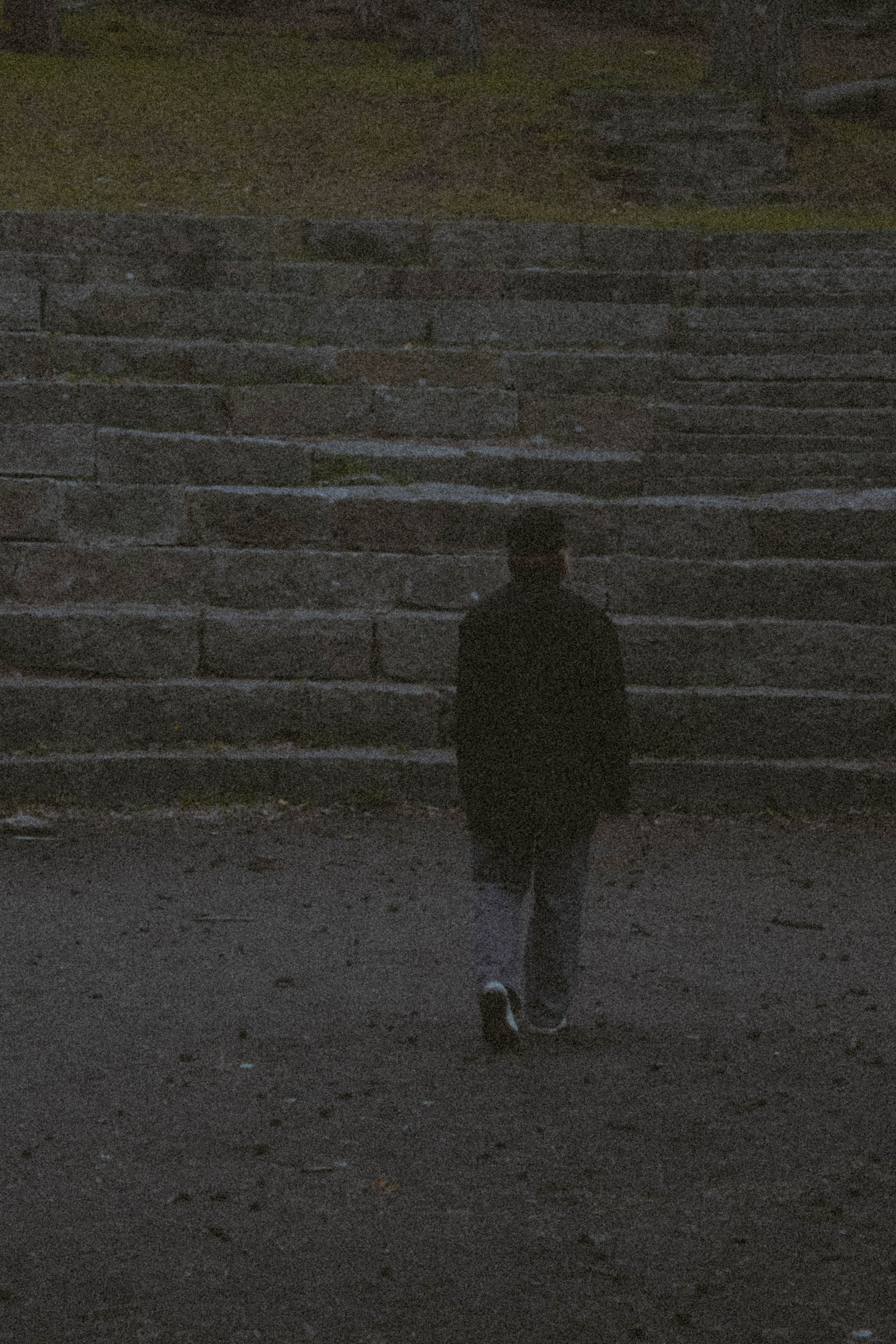 «Без названия»