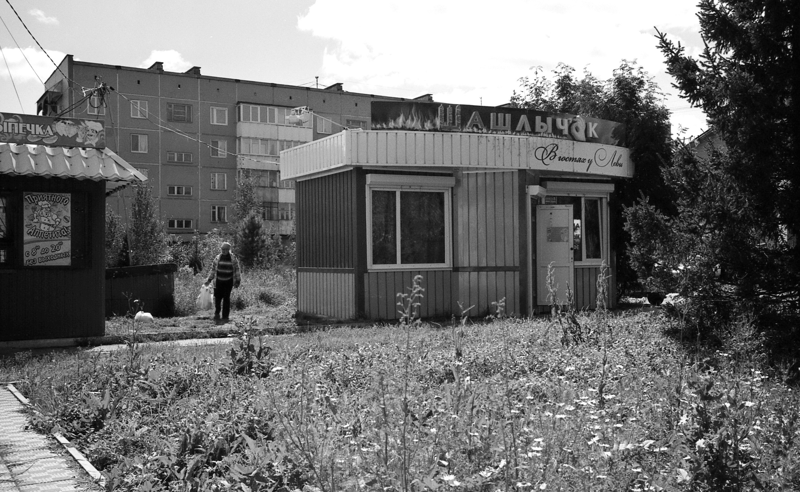 Юрга, Сибирь, Россия. Елена Никитина. Фотохудожник. Пленочная фотография. Принты