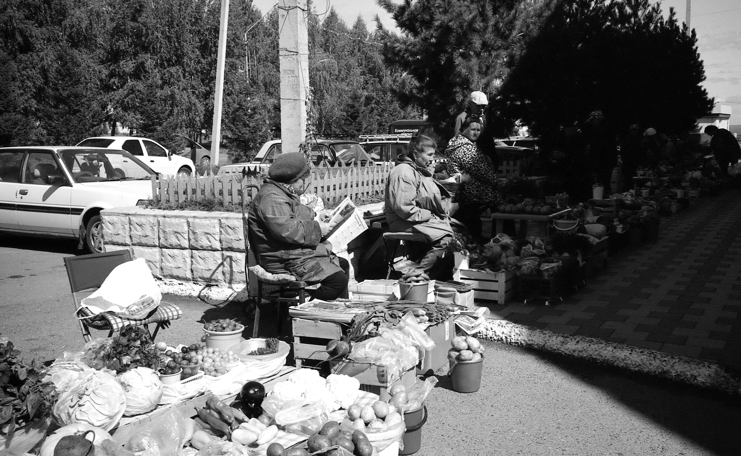 Юрга, Сибирь, Россия. Елена Никитина. Фотохудожник. Пленочная фотография. Принты