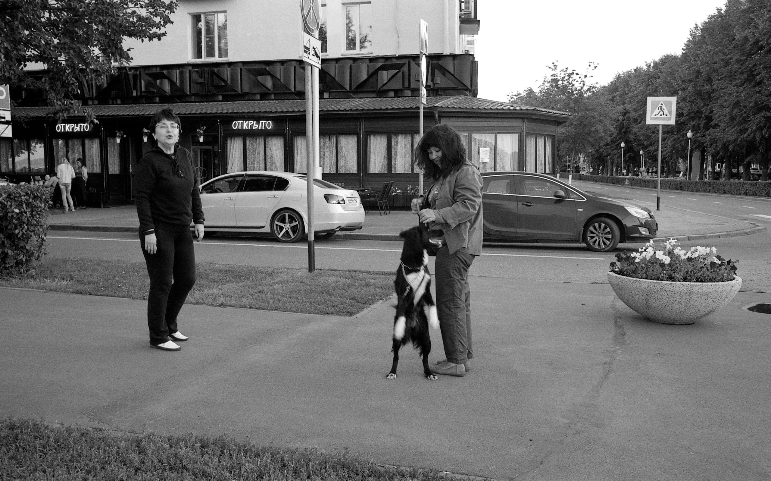 Кемерово, Сибирь, Россия. Елена Никитина. Фотохудожник. Пленочная фотография. Принты