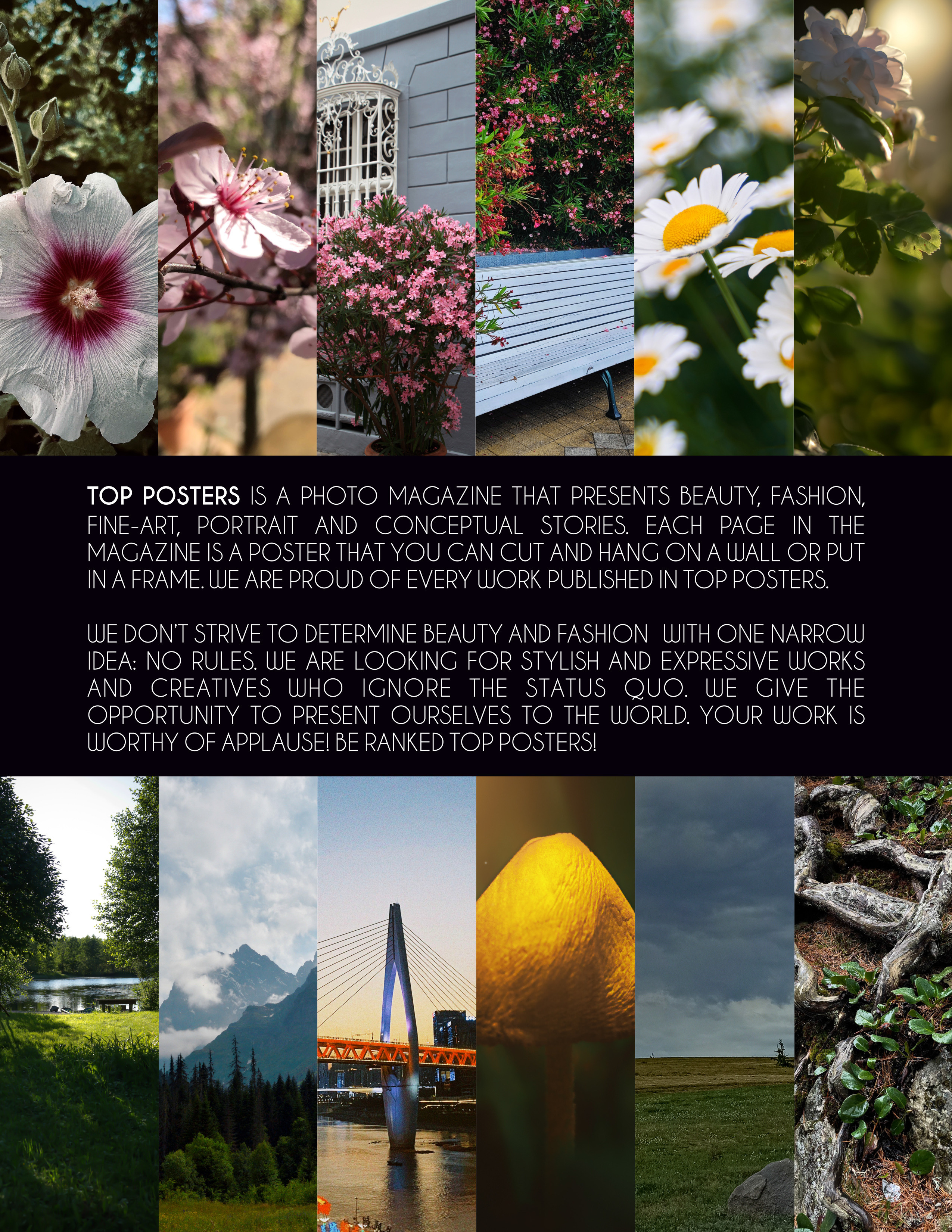 TOP POSTERS Mag. Elena Nikitina. Photo Artist. Film photography. Prints