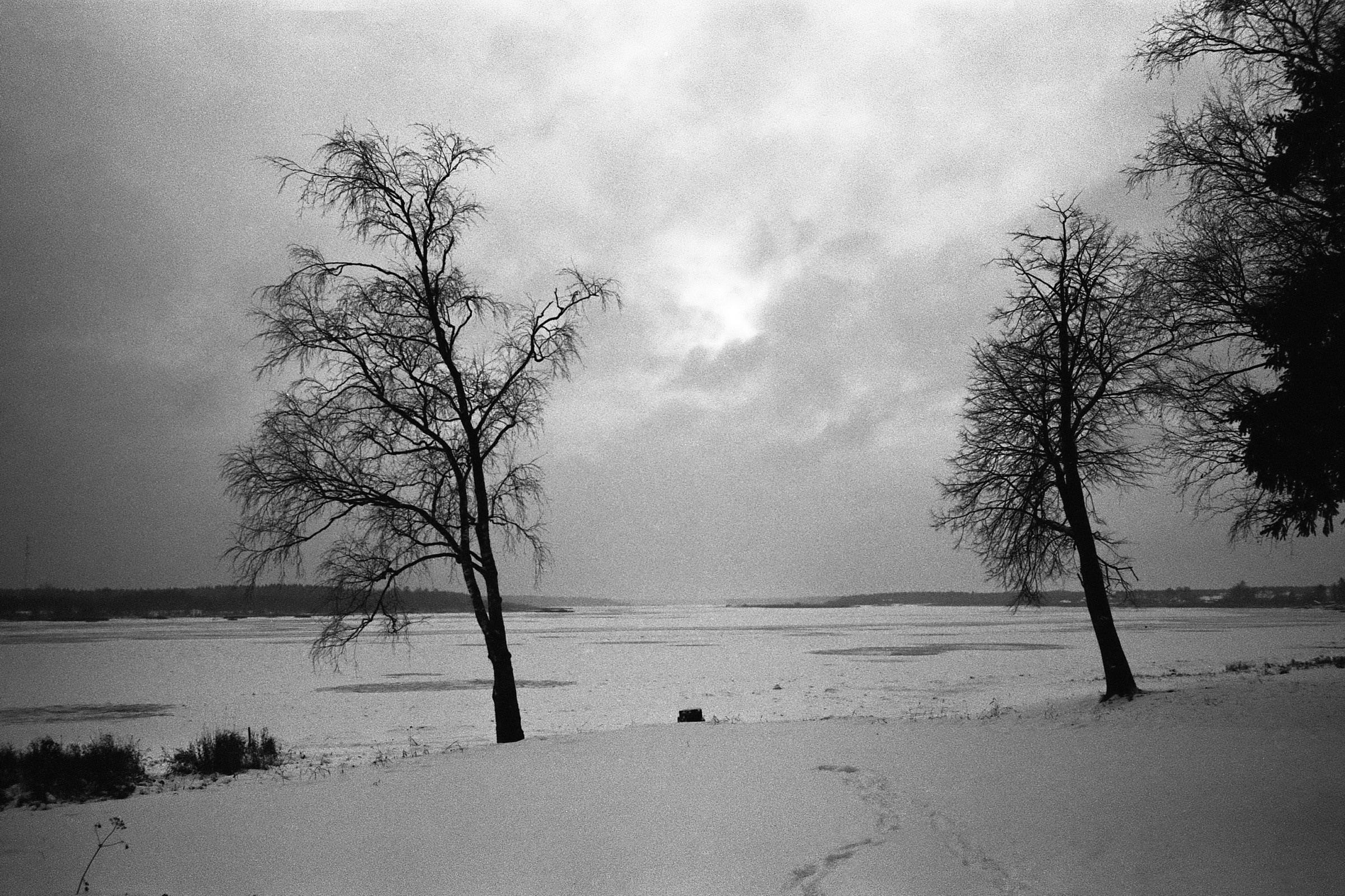 2018 The Print Swap. Елена Никитина. Фотохудожник. Пленочная фотография. Принты