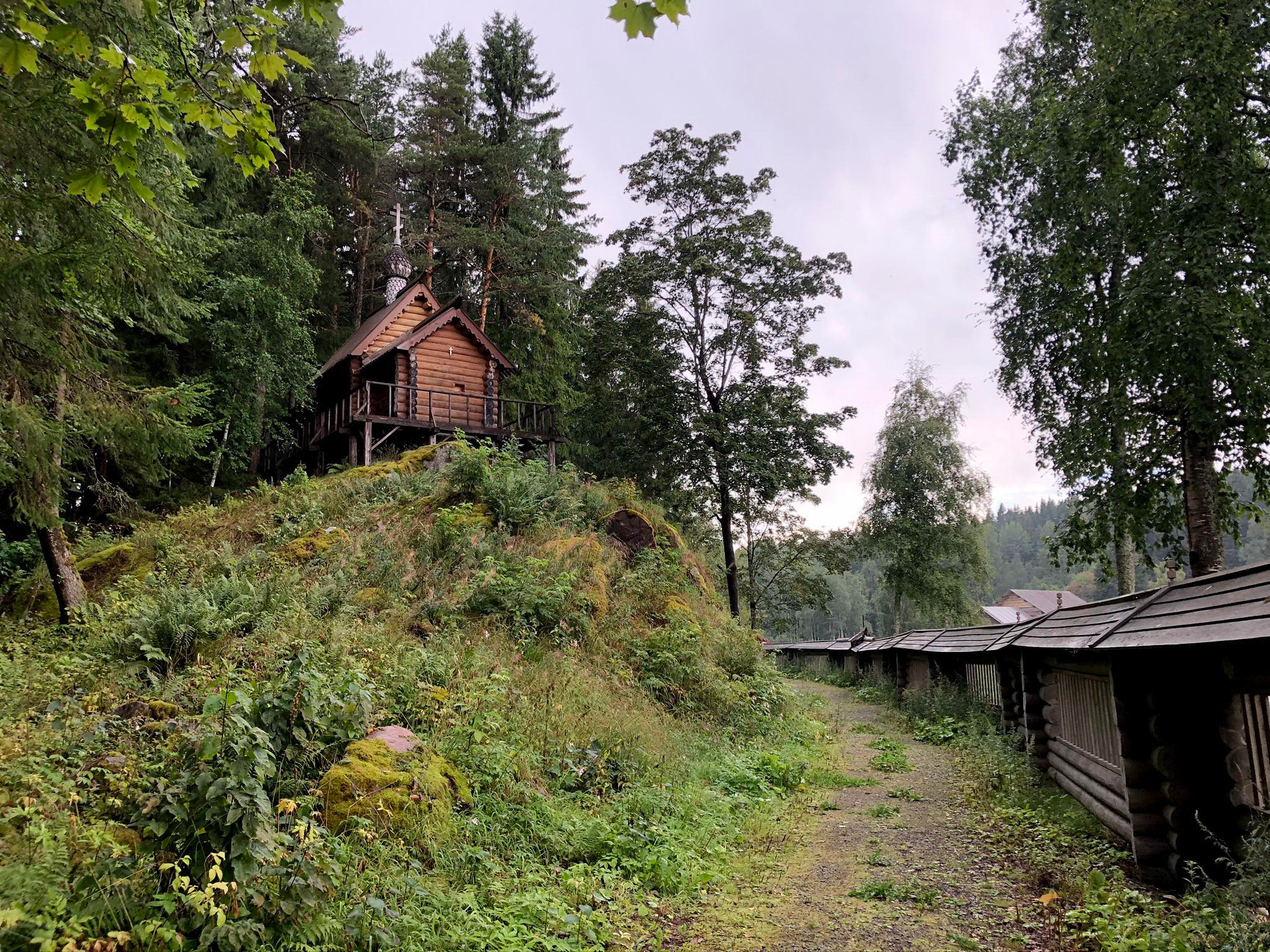 2021 The Print Swap. Елена Никитина. Фотохудожник. Пленочная фотография. Принты