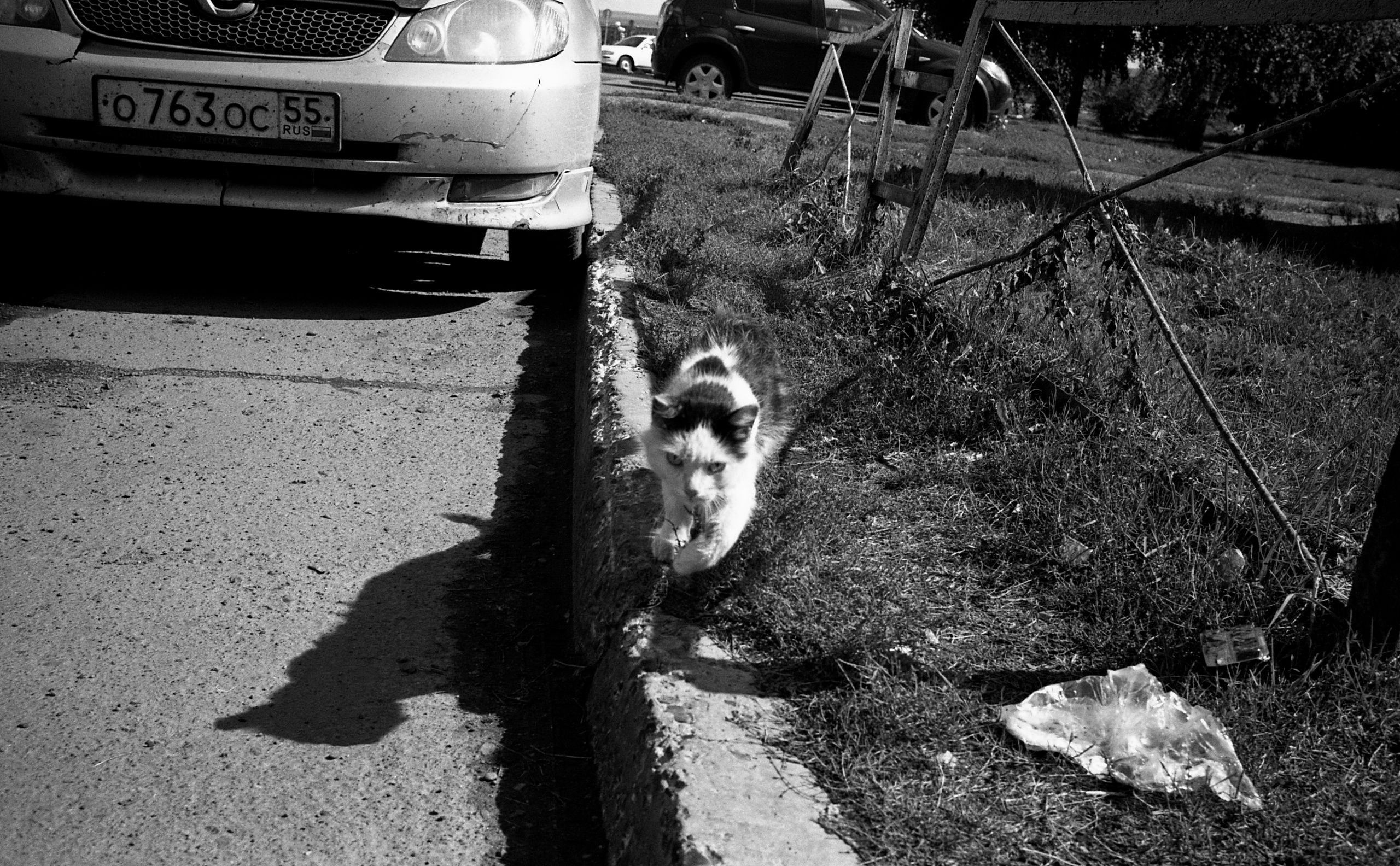 Юрга, Сибирь, Россия. Елена Никитина. Фотохудожник. Пленочная фотография. Принты