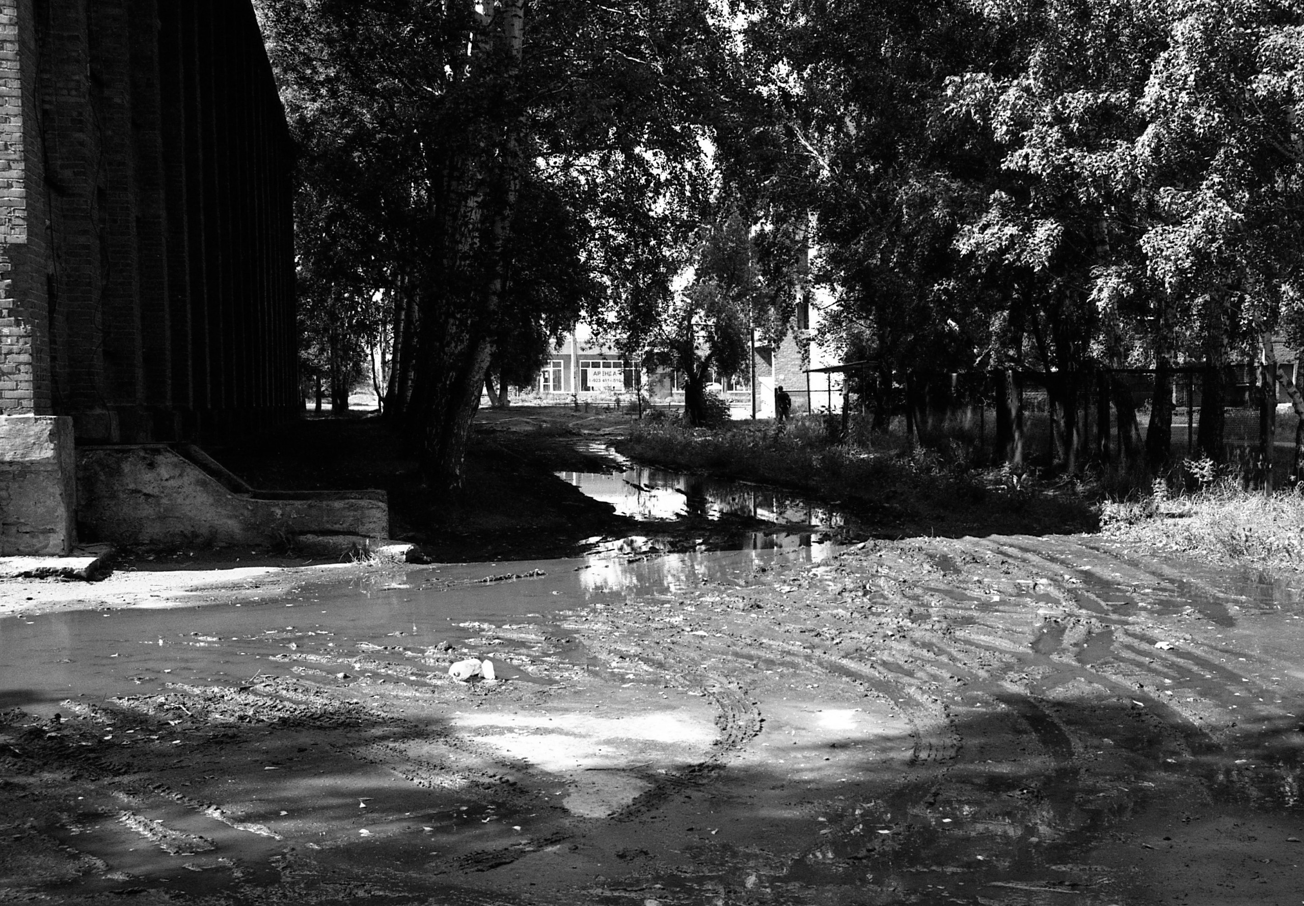 Юрга, Сибирь, Россия. Елена Никитина. Фотохудожник. Пленочная фотография. Принты