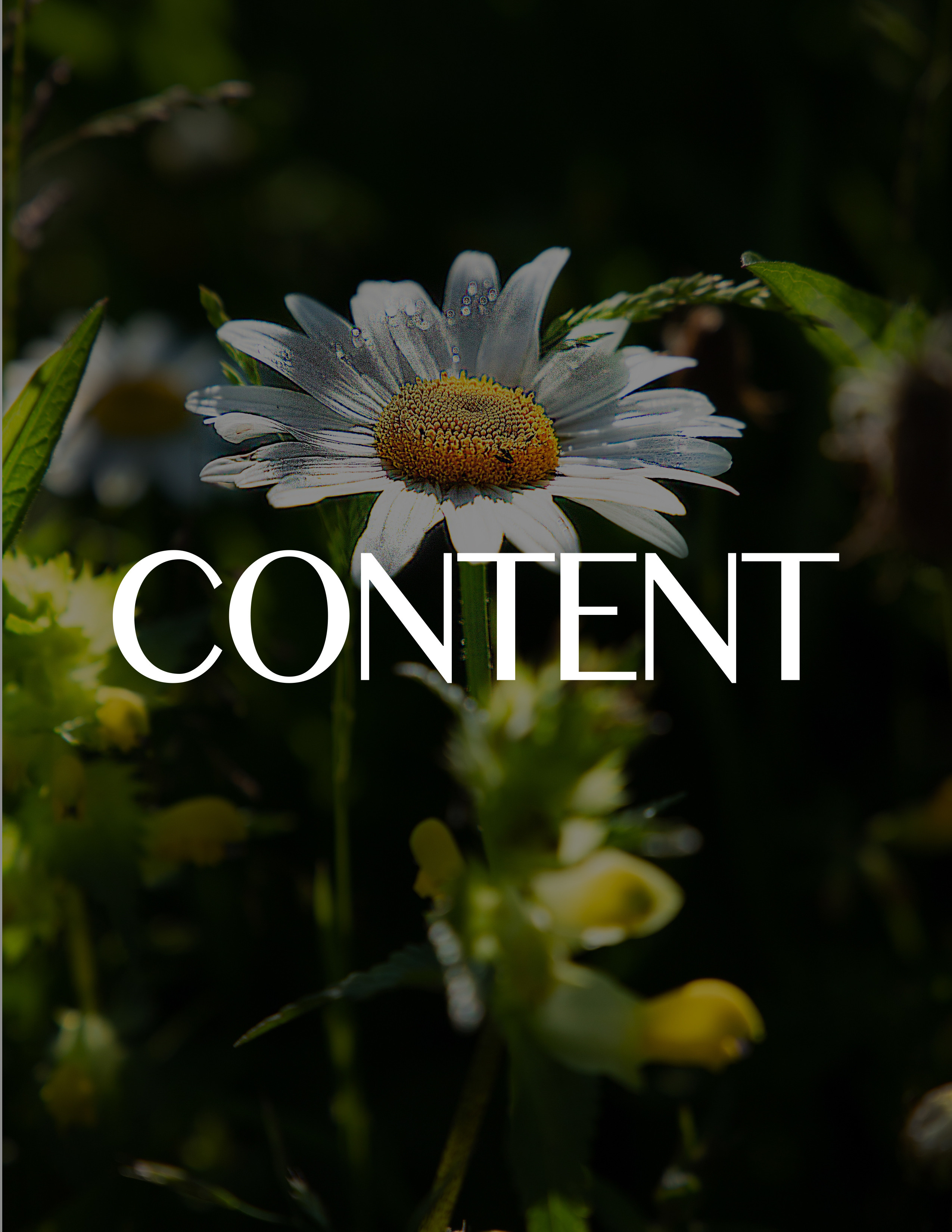 ARTELLS Magazine. Елена Никитина. Фотохудожник. Пленочная фотография. Принты