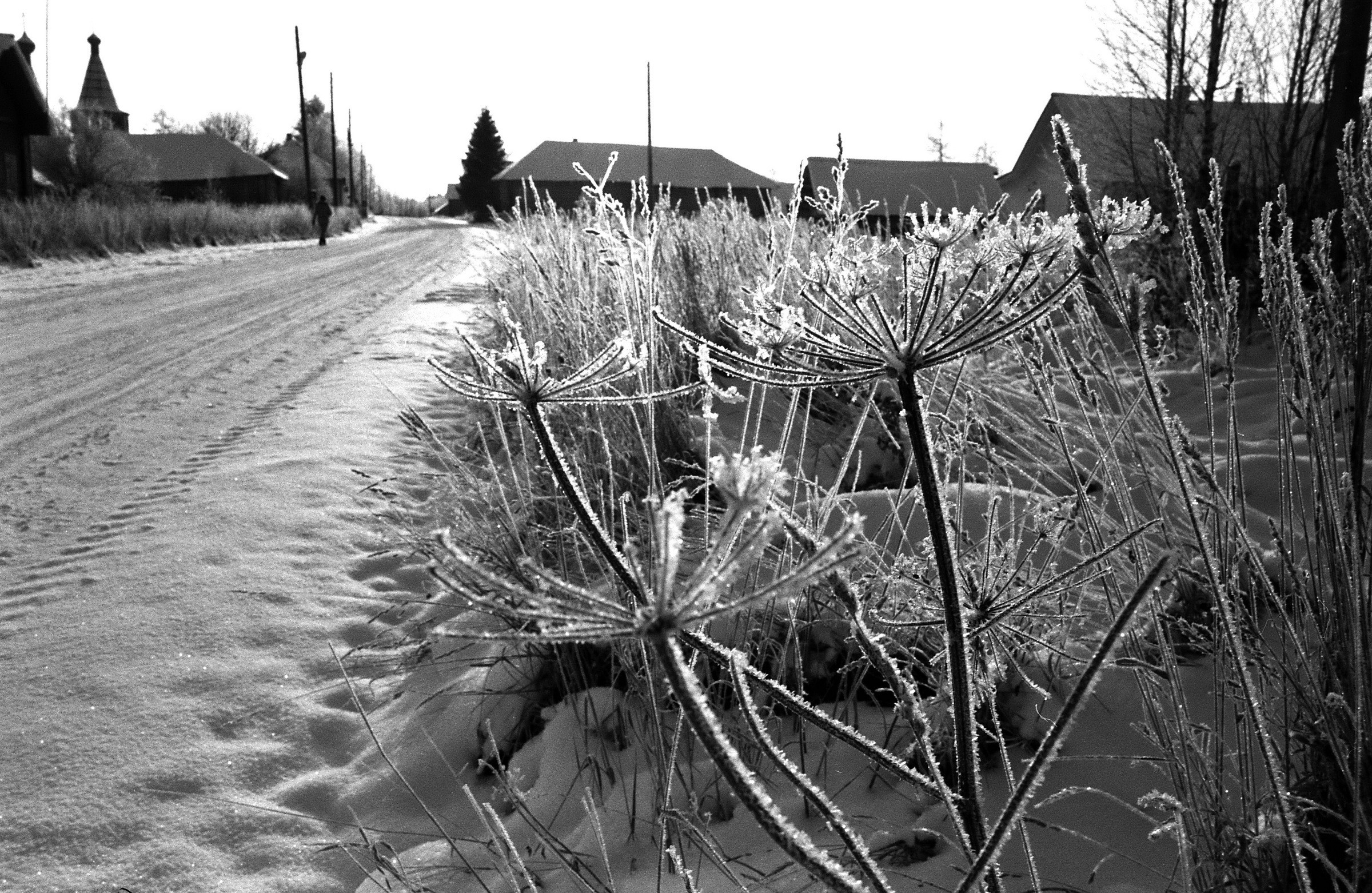 2018 The Print Swap. Елена Никитина. Фотохудожник. Пленочная фотография. Принты