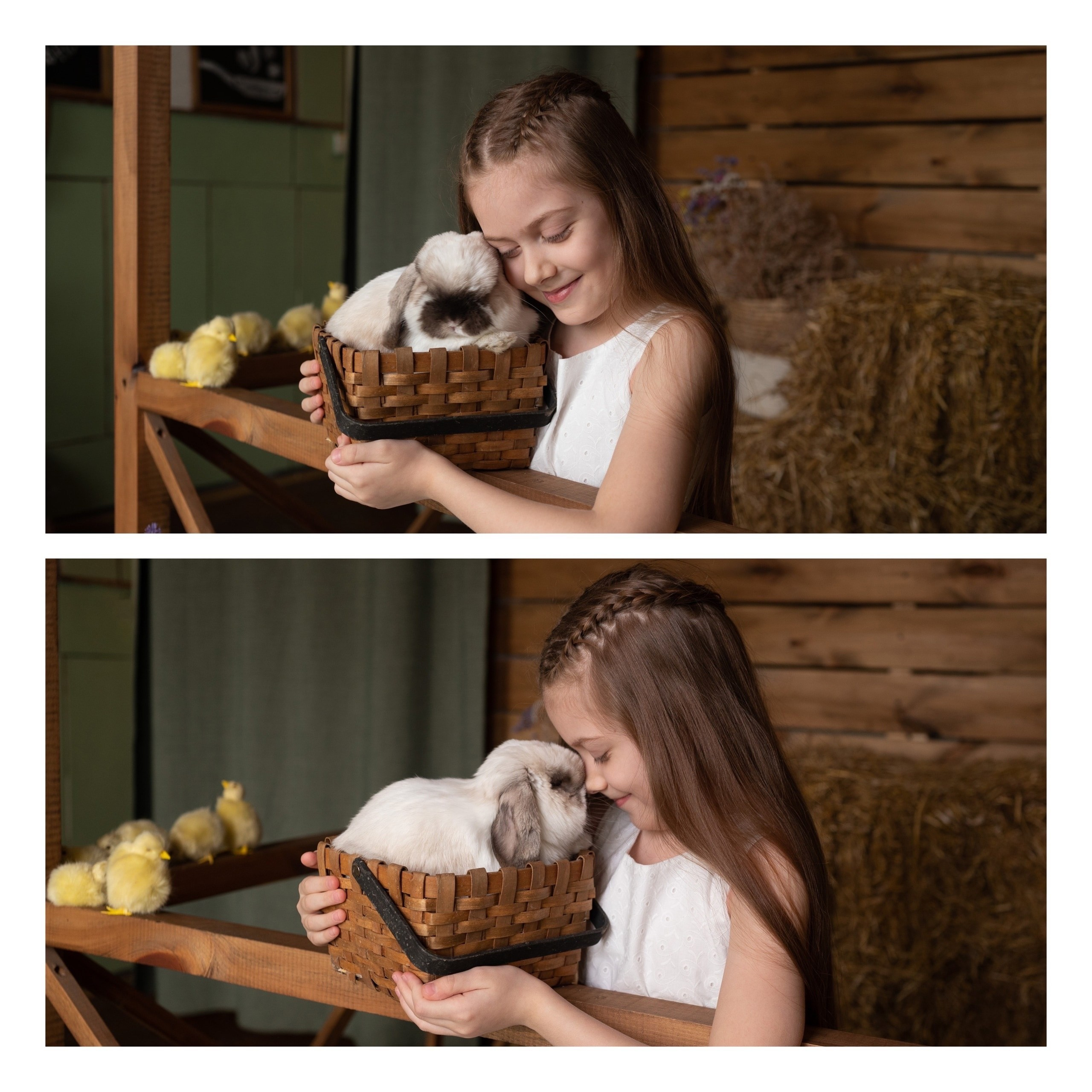 Кролик «Бублик» и цыплята. Фотограф в Тюмени Голышева Елена