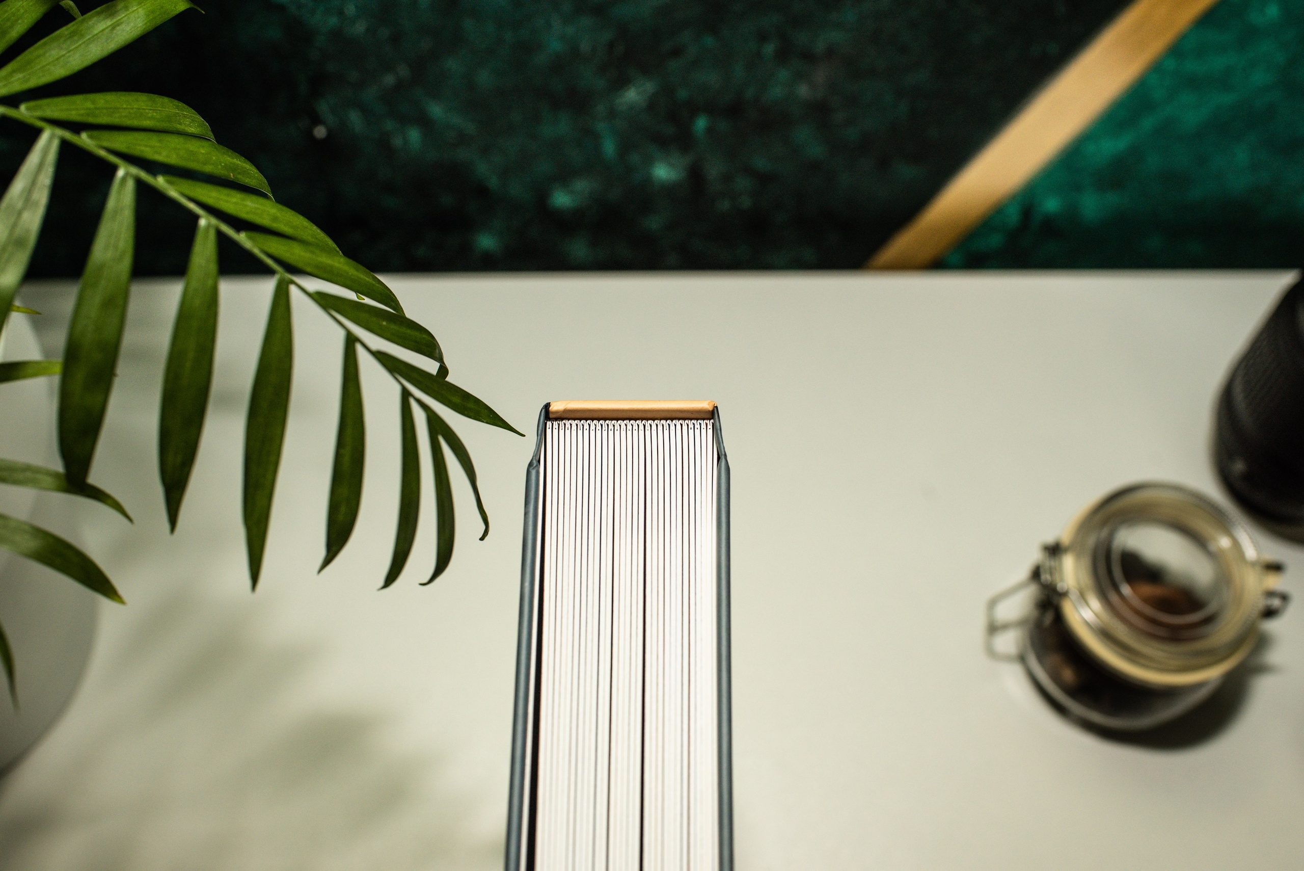 Фотокнига Африка. MILATE — выпускные альбомы, фотосессии и видео в Москве