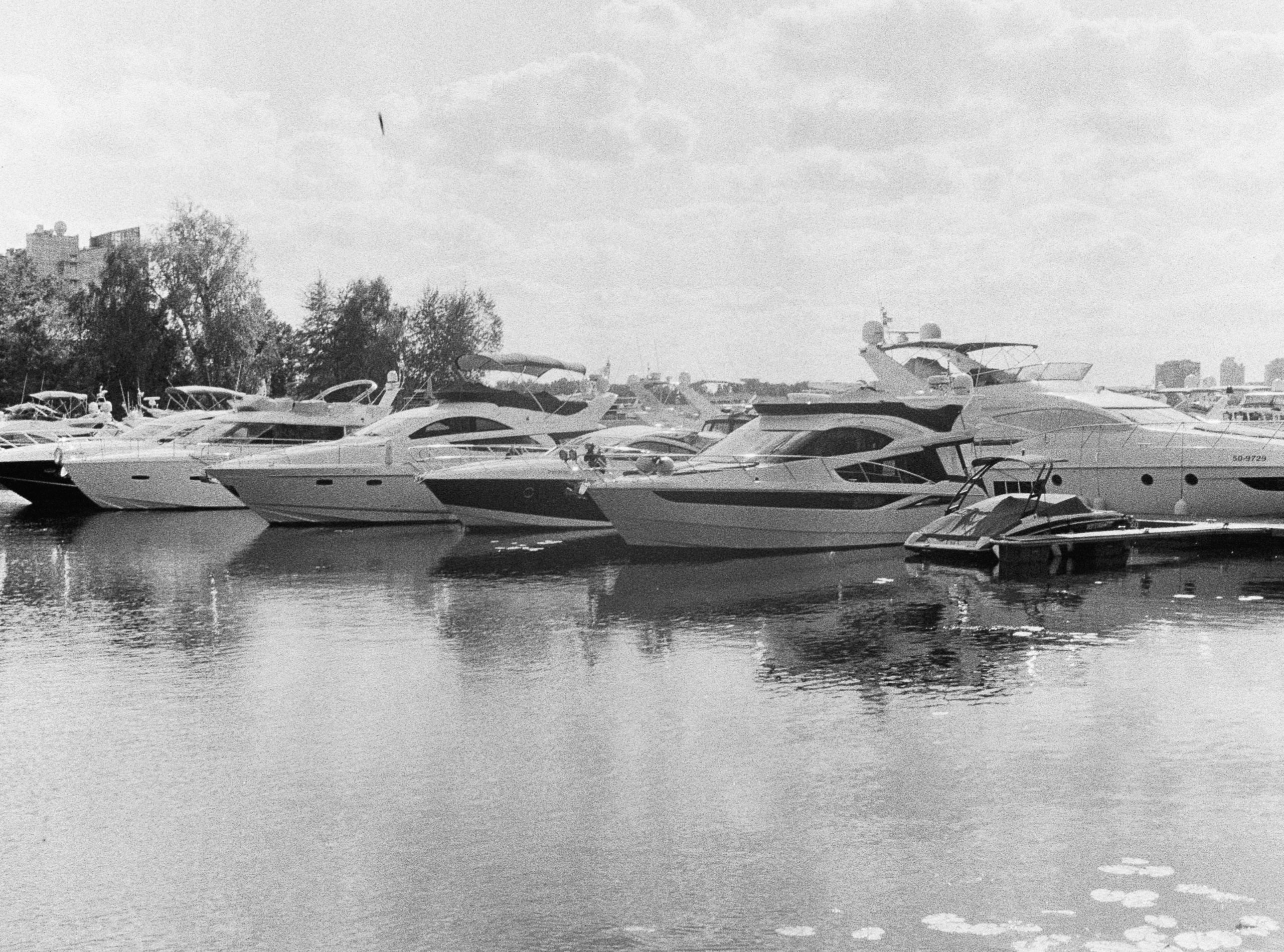 Роскошь. Сергей Новиков Фотограф Москва