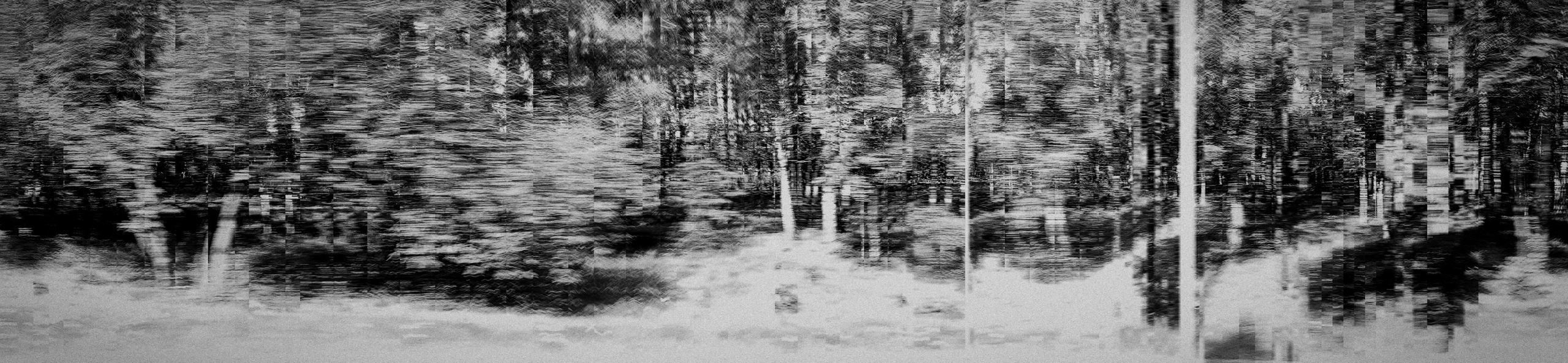 Screen Interference. Roman Hodirev is an esoteriologist, multidisciplinary artist, photographer and musician. Saint Petersburg, Riga