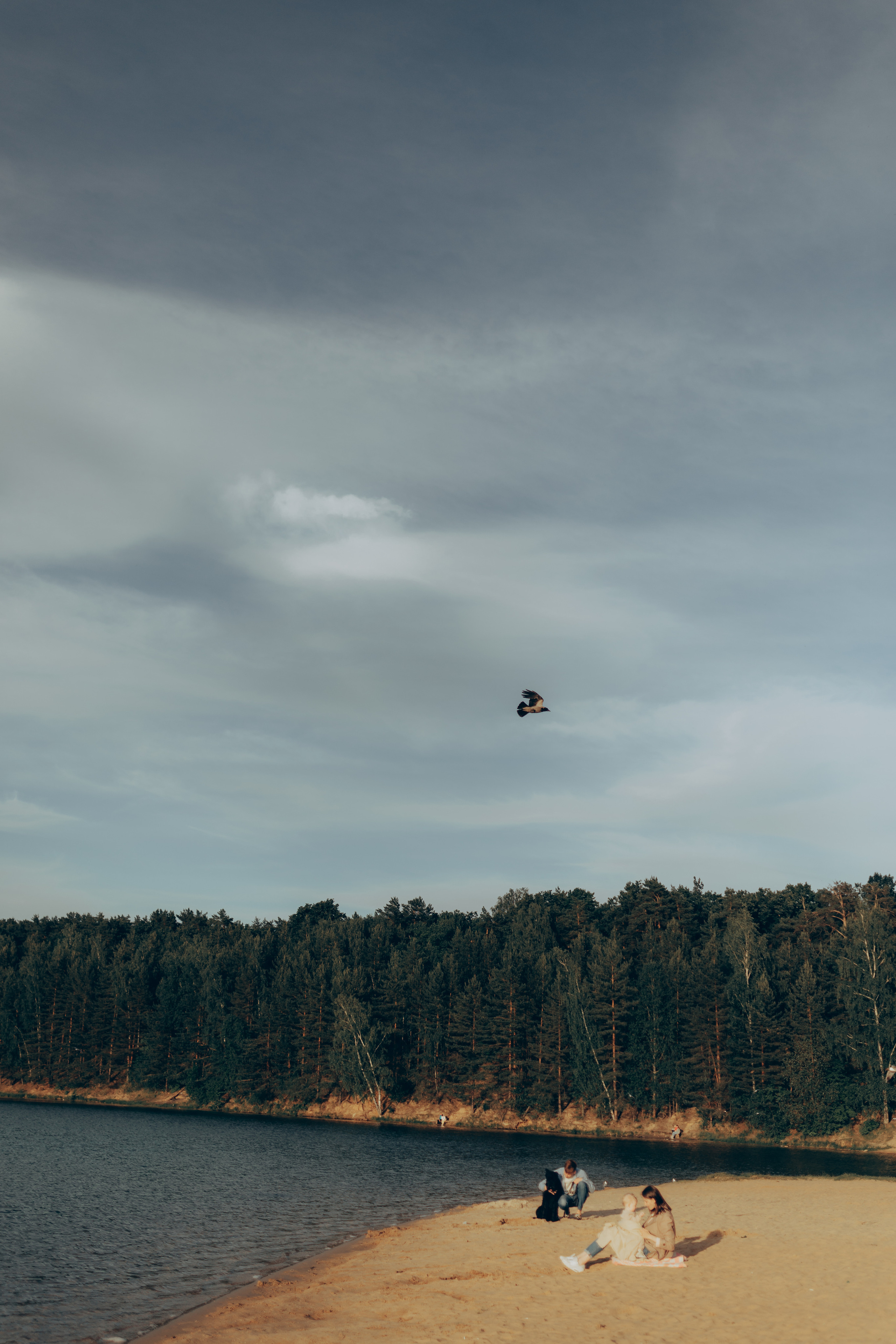 Диана Михаил София