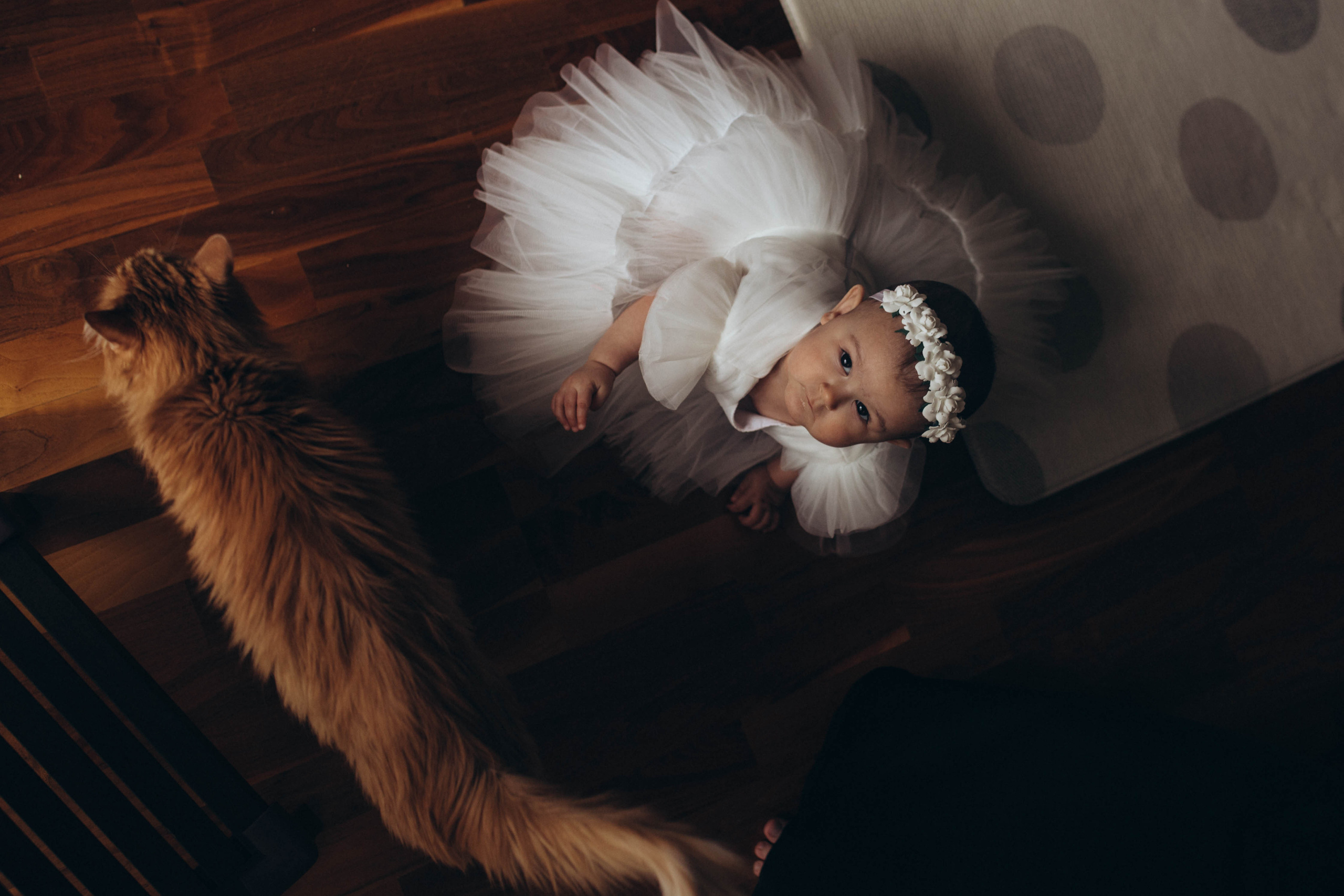 Таисия и Тара. Первый годик