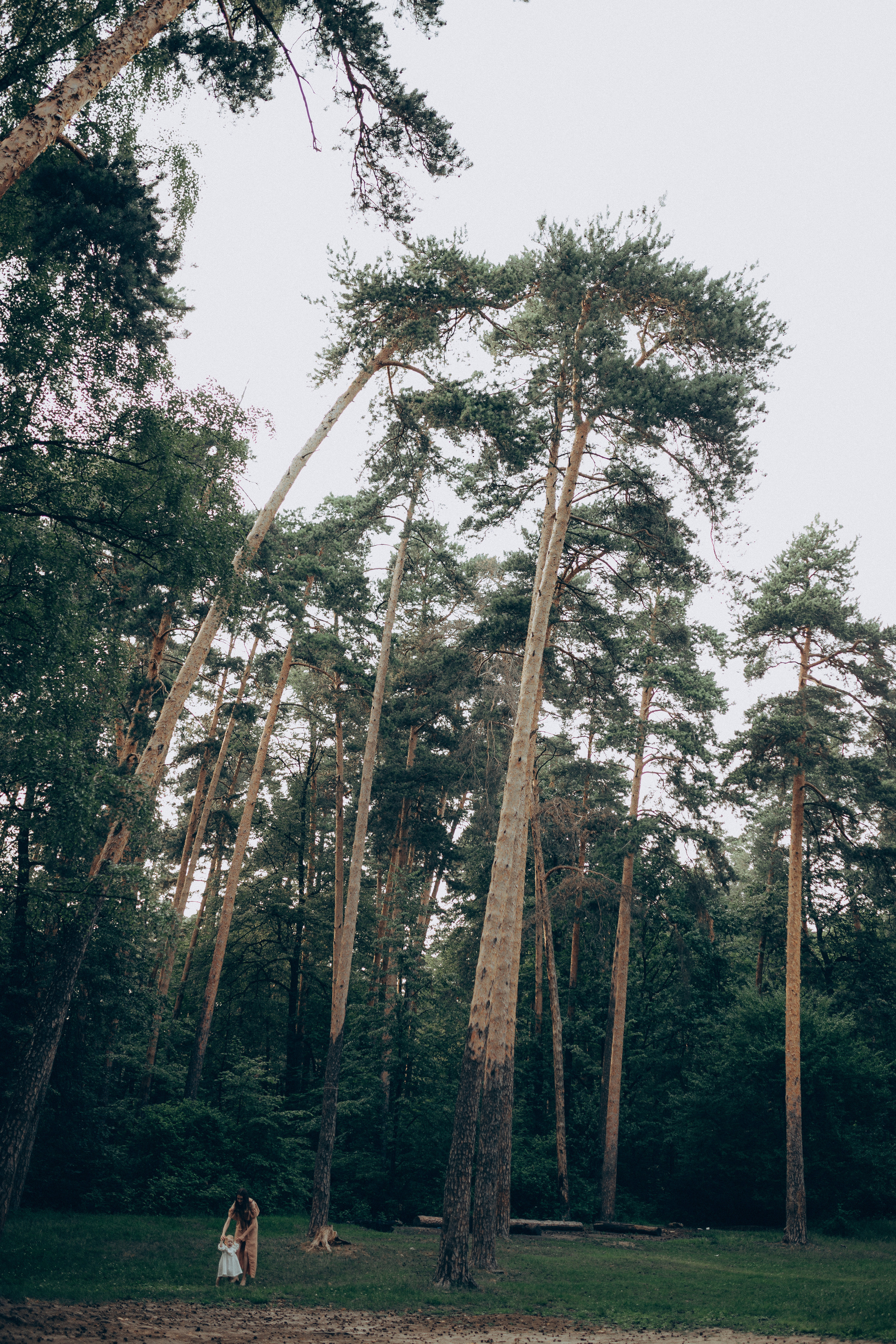 Диана и София