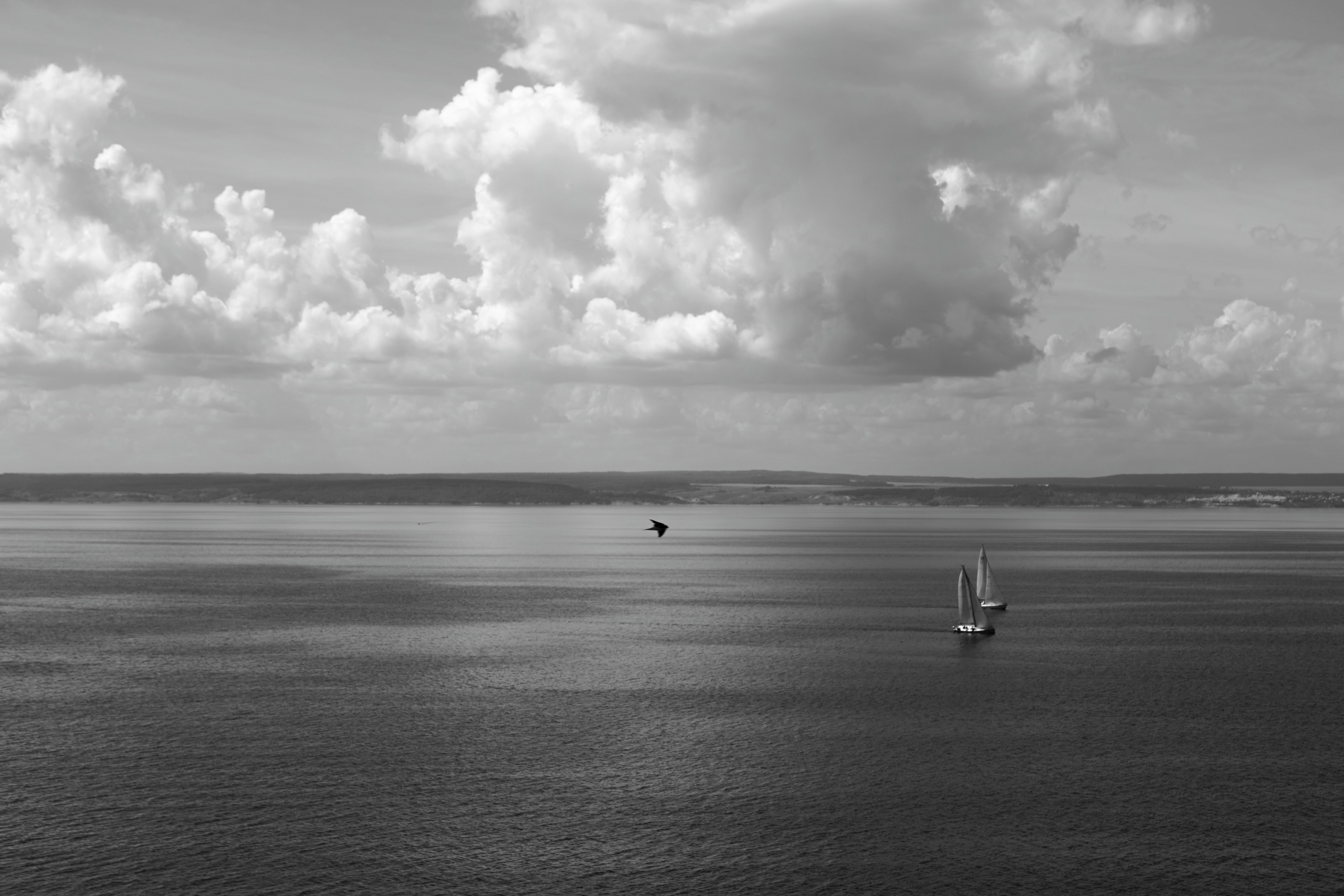 Дмитрий и Дарья. Фотограф в Самаре / Олеся Широнина