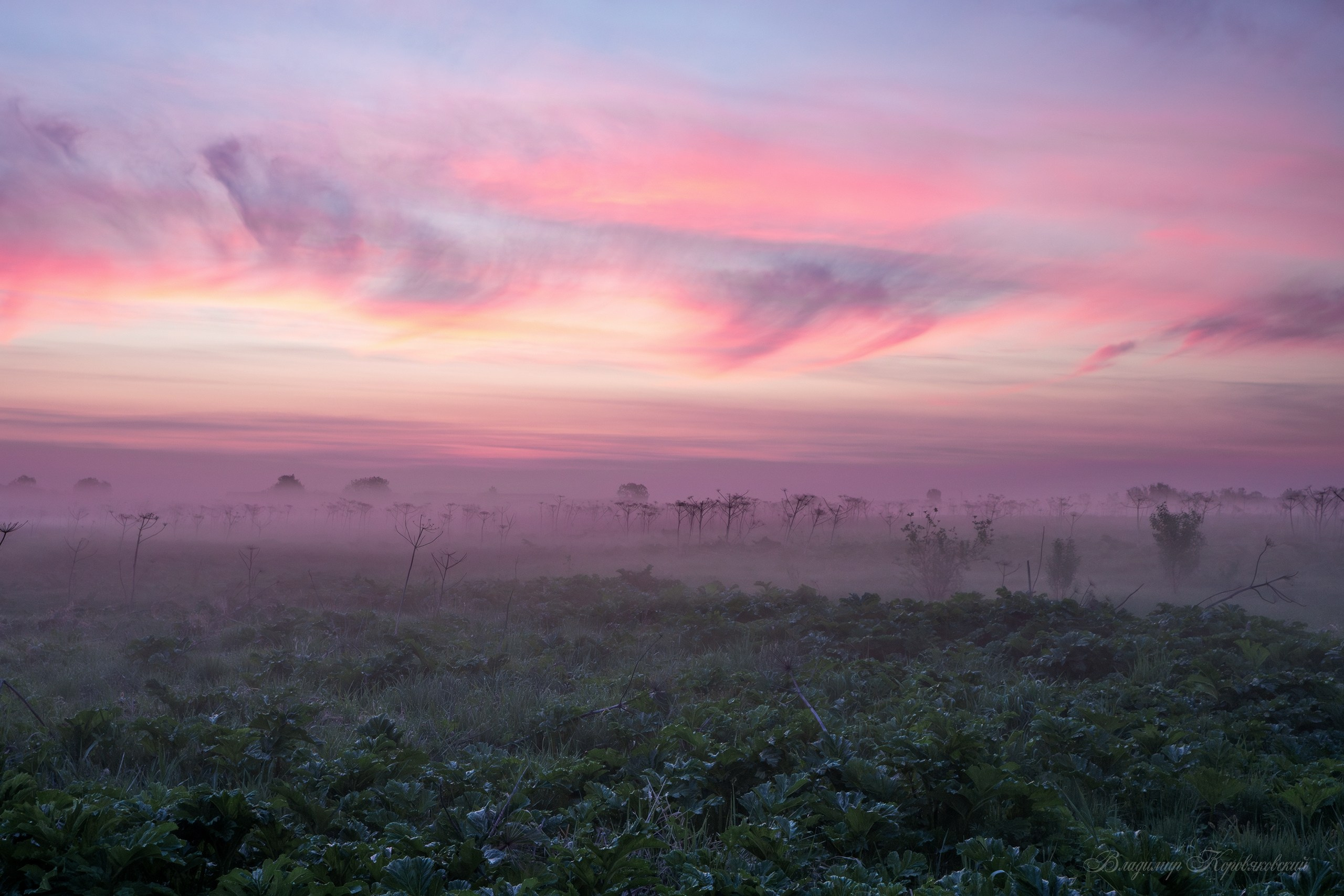 Природа. Фотограф Владимир Коровяковский