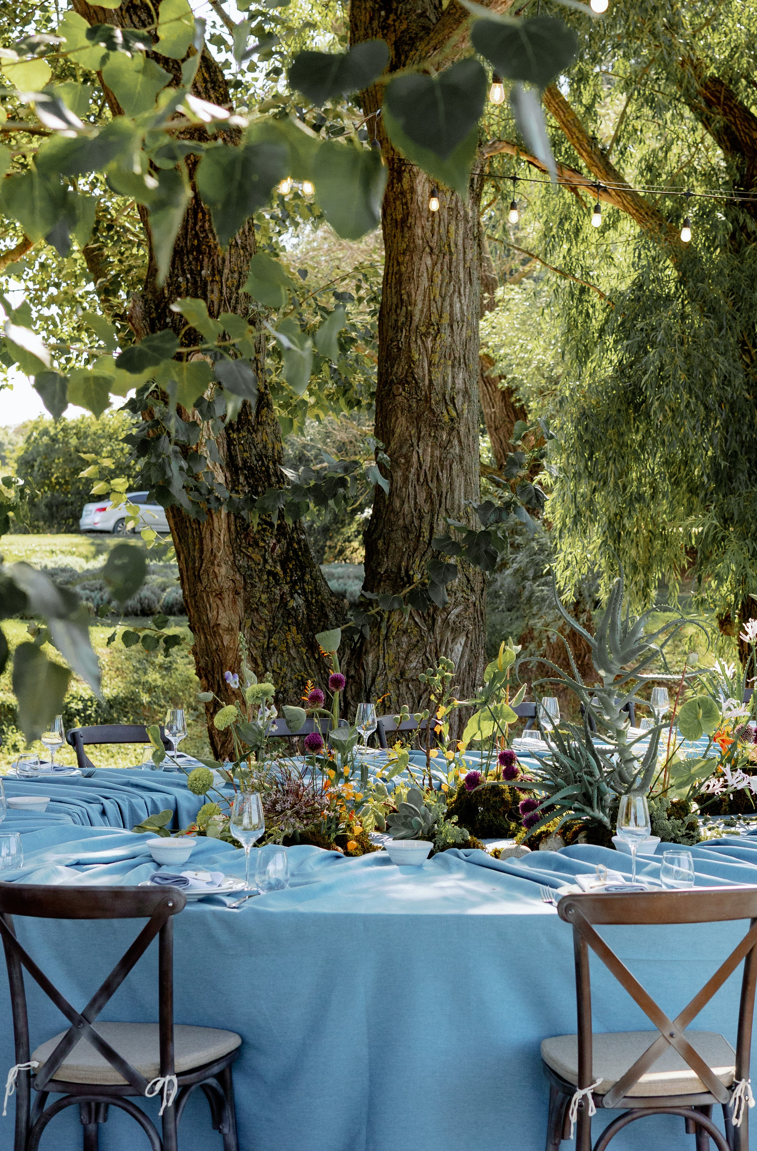 LEVI'S LUV. Fusion Wedding Photographer