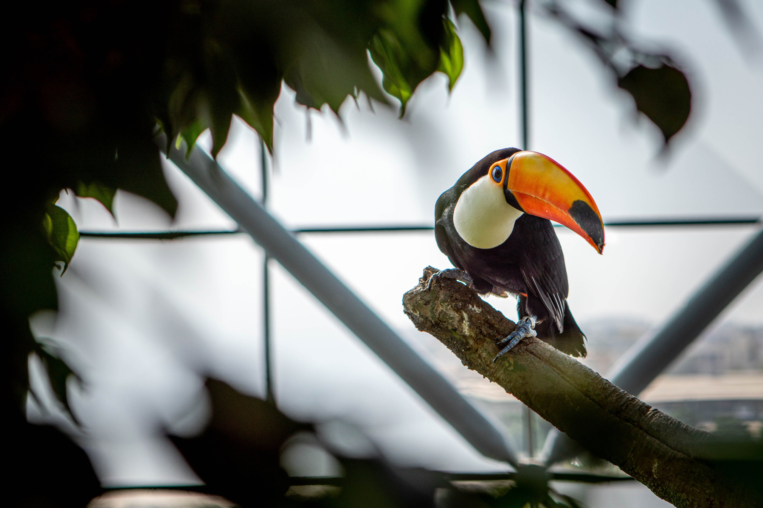 Дубай. Фотография, ретушь, сканирование, восстановление старых фото, интерьерная съёмка, студия. Данилов Александр, Москва