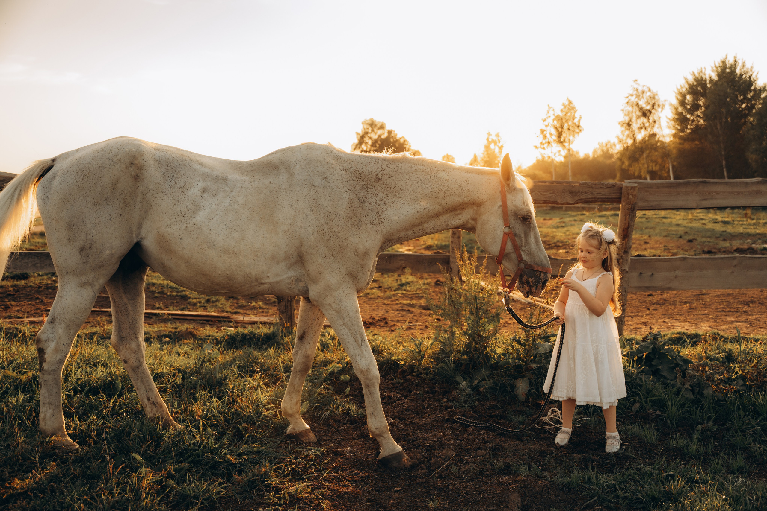 Оля и Сонечка. Фотограф в Минске — Мария Миллс