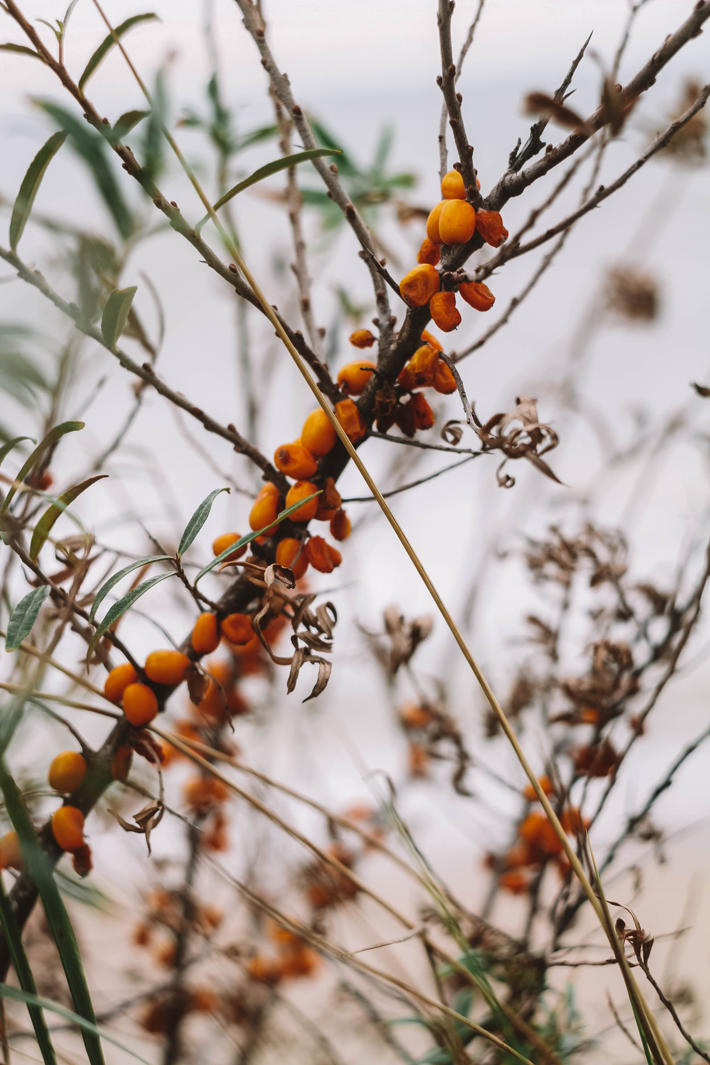 Калининград