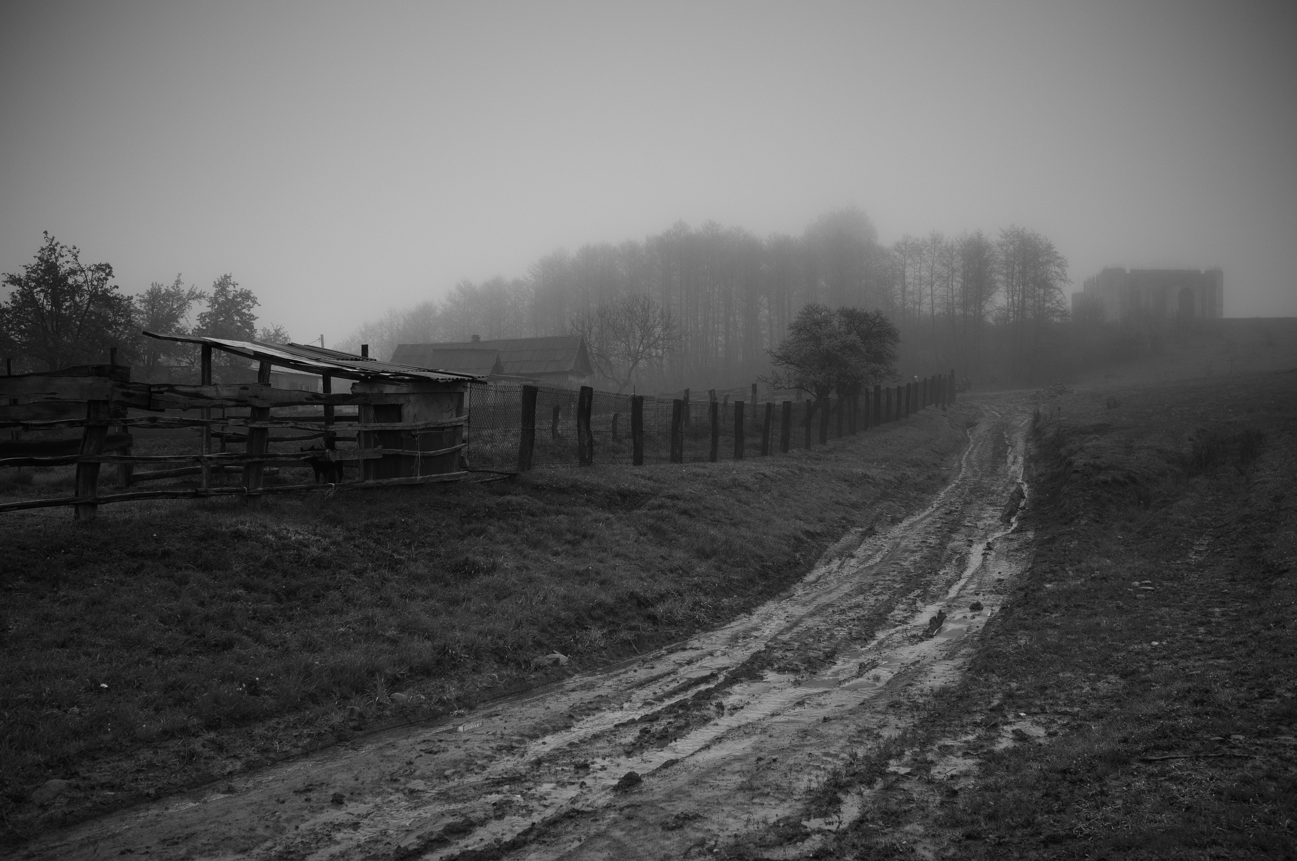 Особый взгляд на людей. Сергей Гаврилов, фотограф