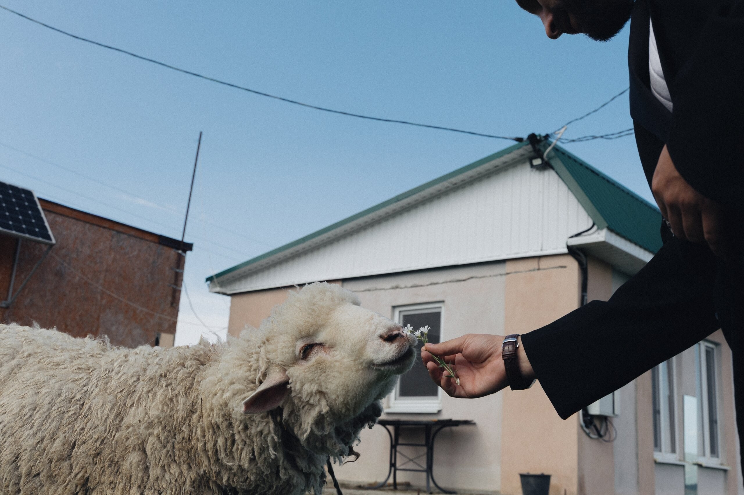Индивидуальная съёмка в Кисловодске — фотограф Роман Болдырев