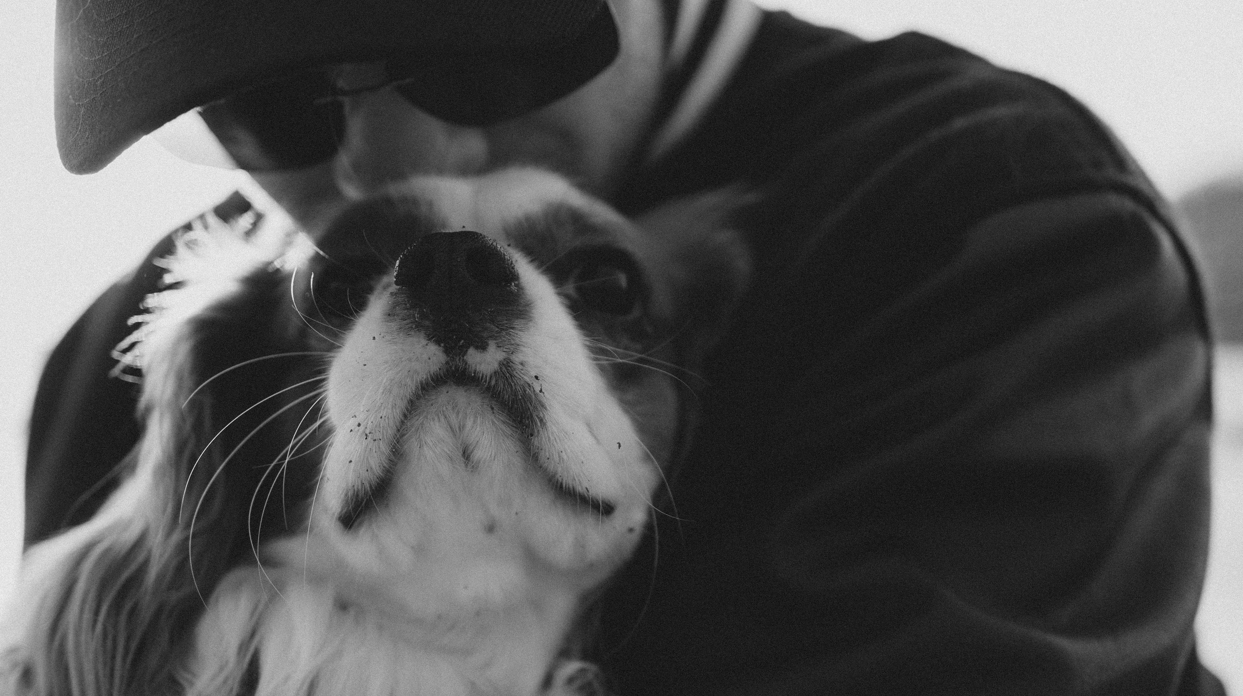 Кирилл и Мелания. Фотограф Виктория Куприянова