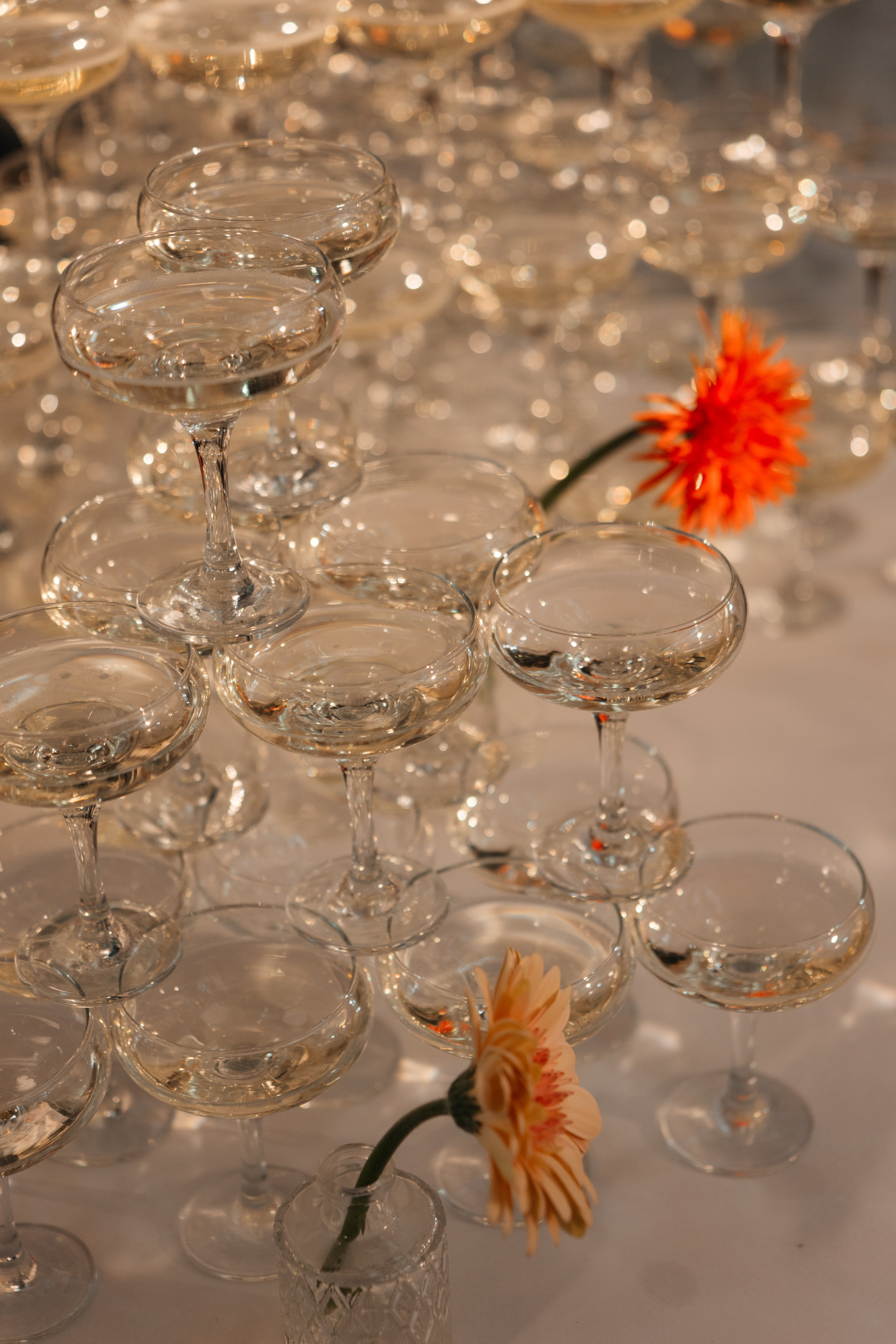 Lariva hall. Свадебное ФОТО & ВИДЕО Москва/Липецк