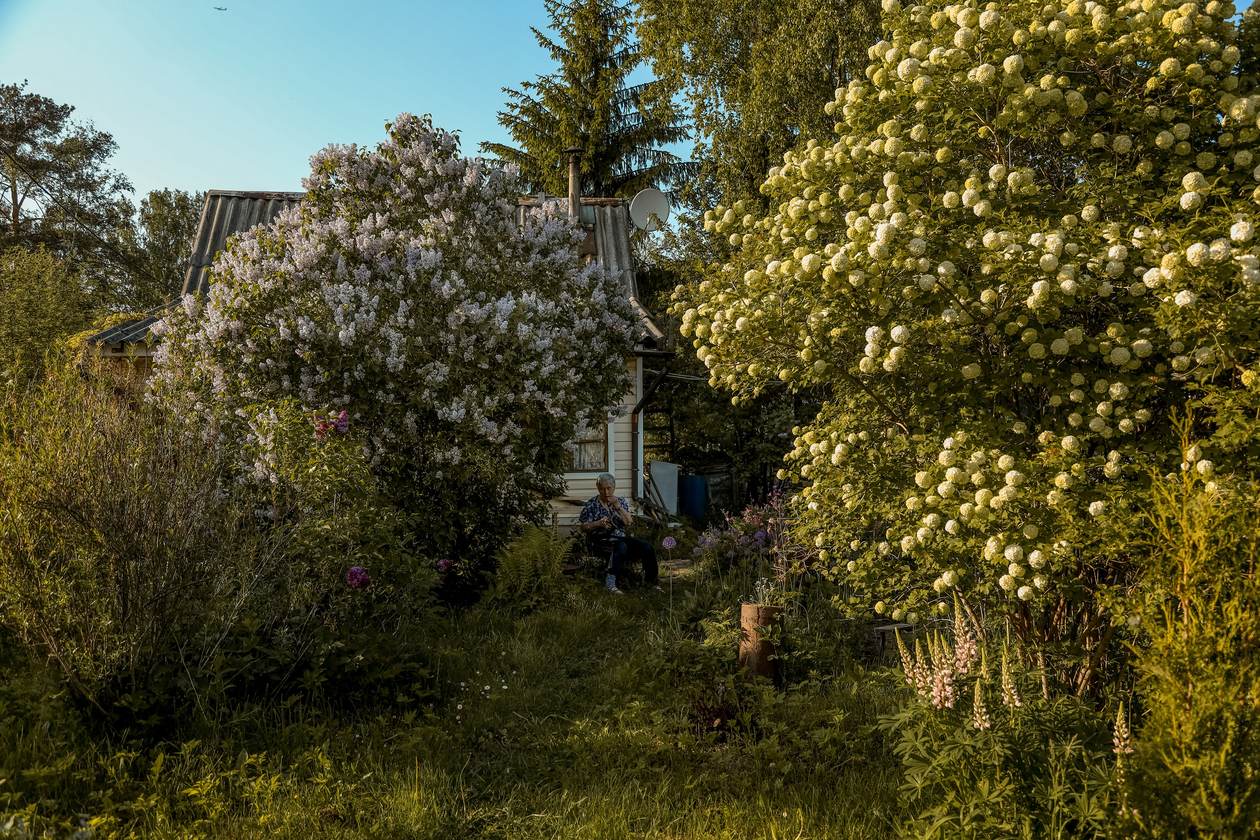 Серебряный возраст. Семейная фотосессия и съёмка в школе СПб Сударикова Мария