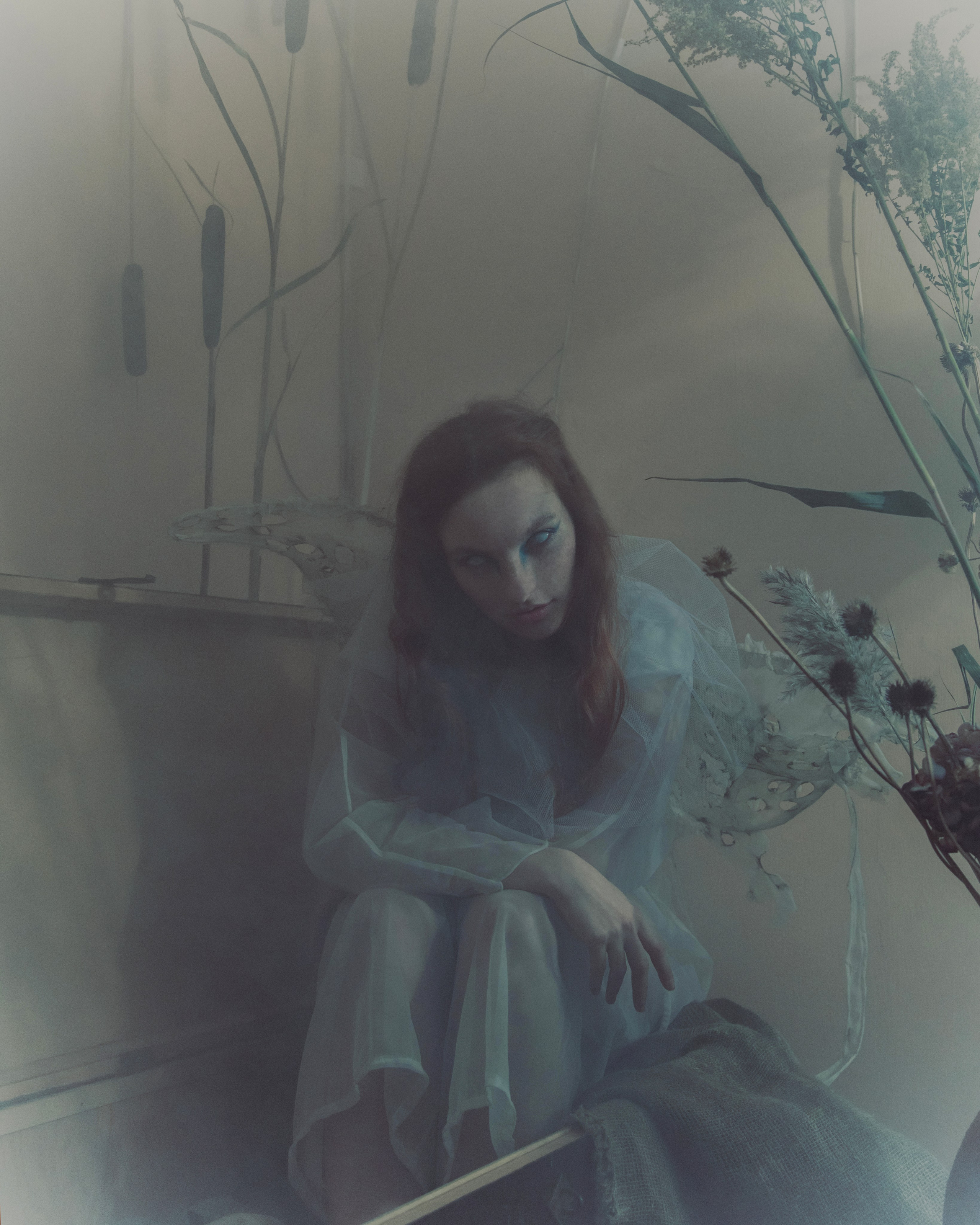 Мотылек. Фотограф Anita Mivchas
