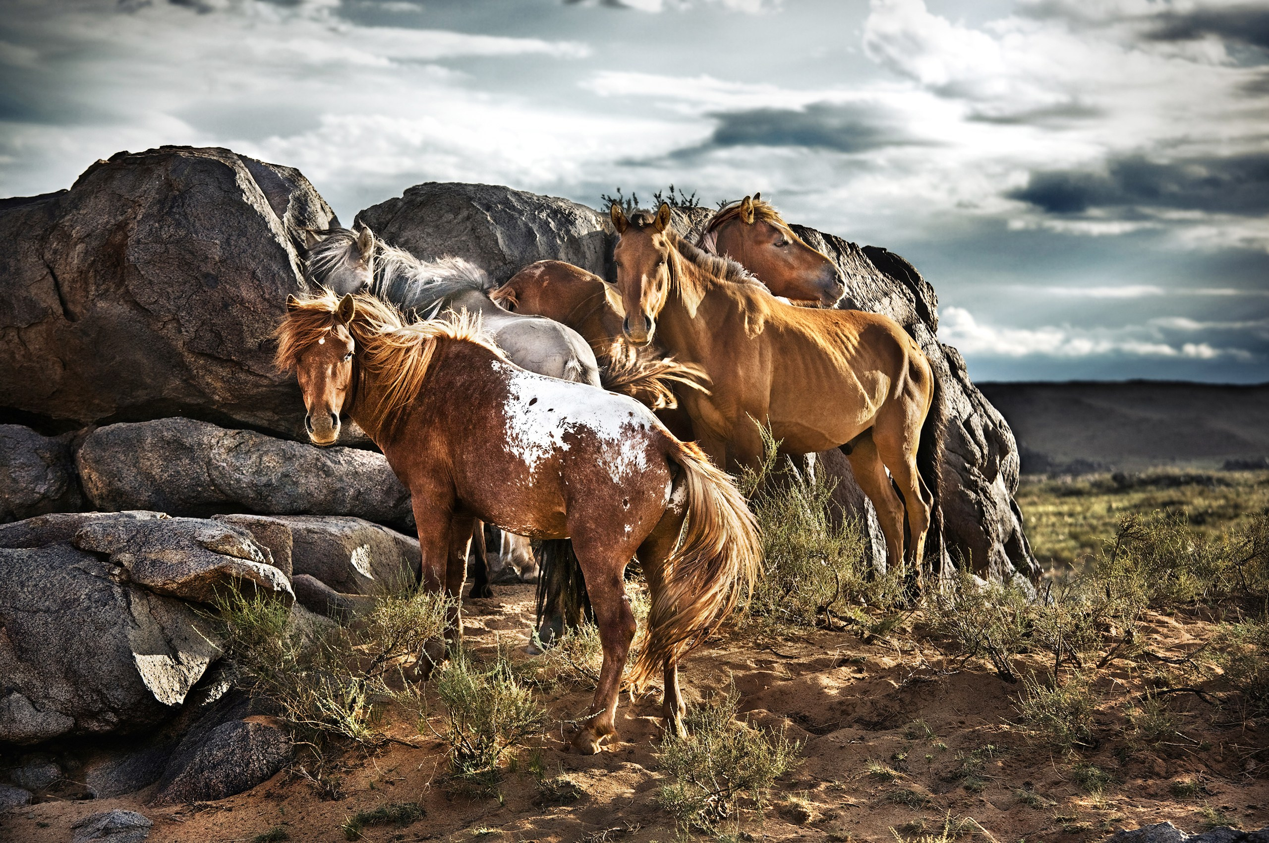 Монголия. Фотограф Владимир Медведев