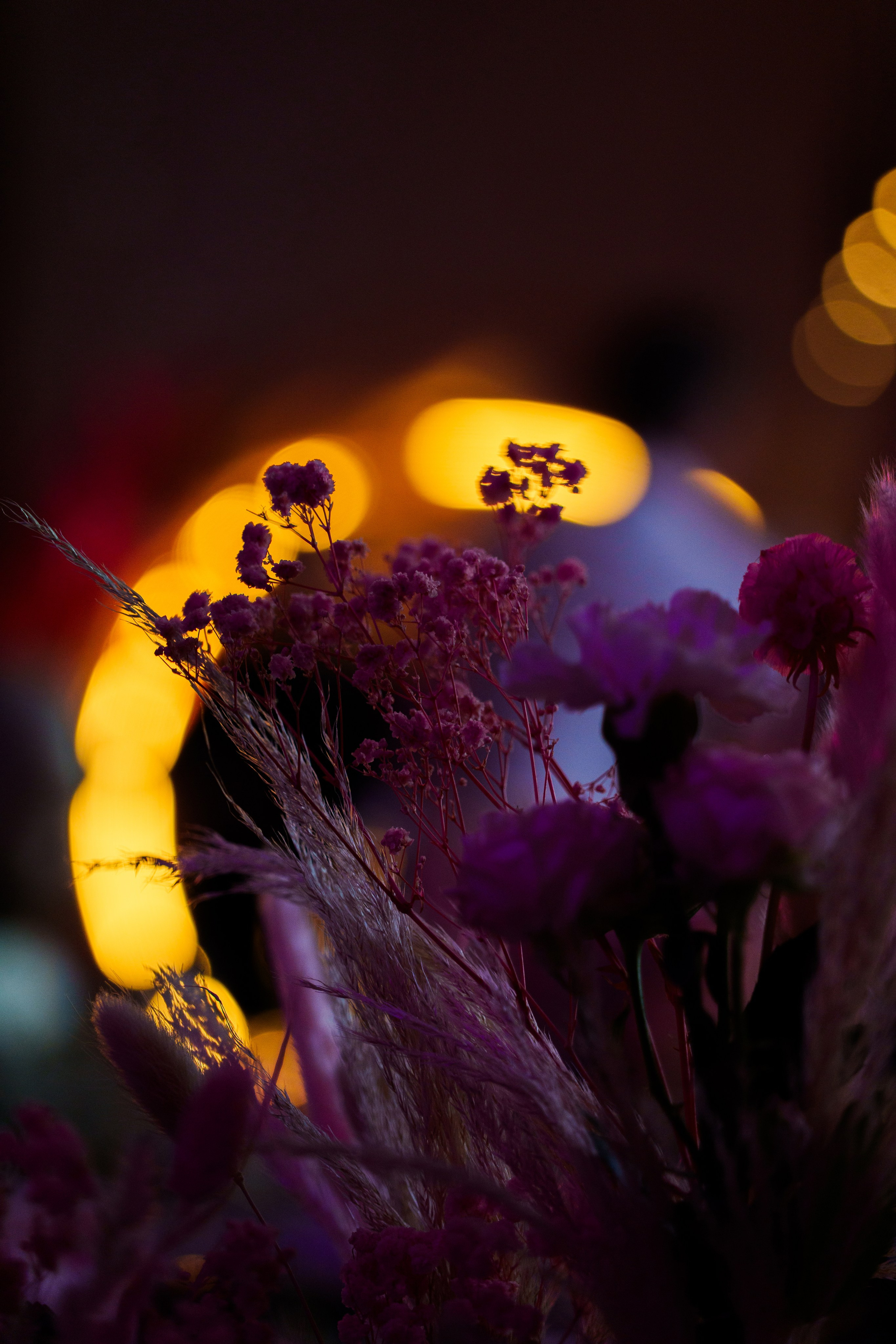 Банкет. Фото и видео съёмка в Москве и МО Александр Чапала и Трояк Алеся